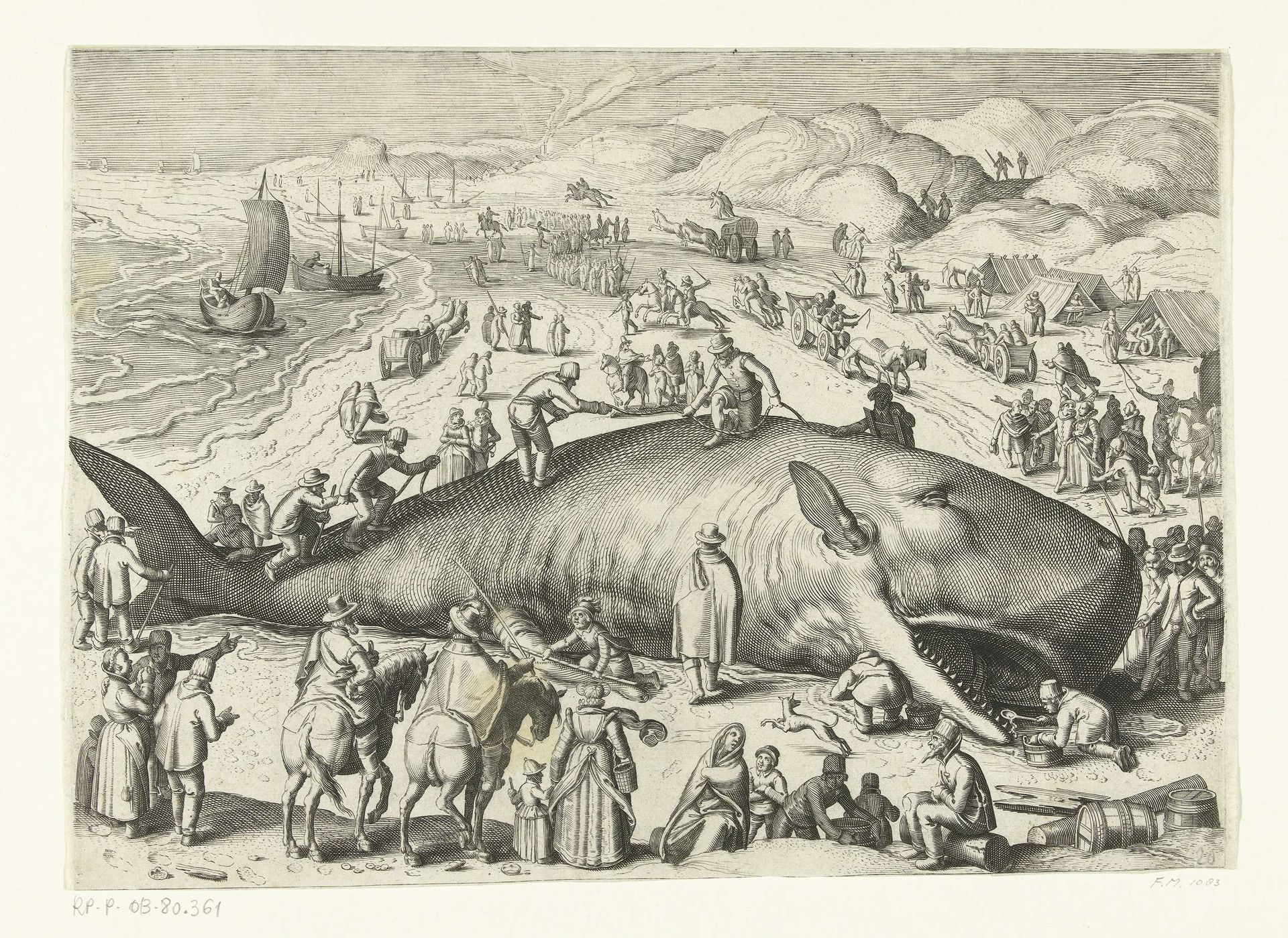 Kopie van de gestrande walvis bij Berckhey van 1598 als de walvis gestand bij Noordwijk in 1614 by Anonymous