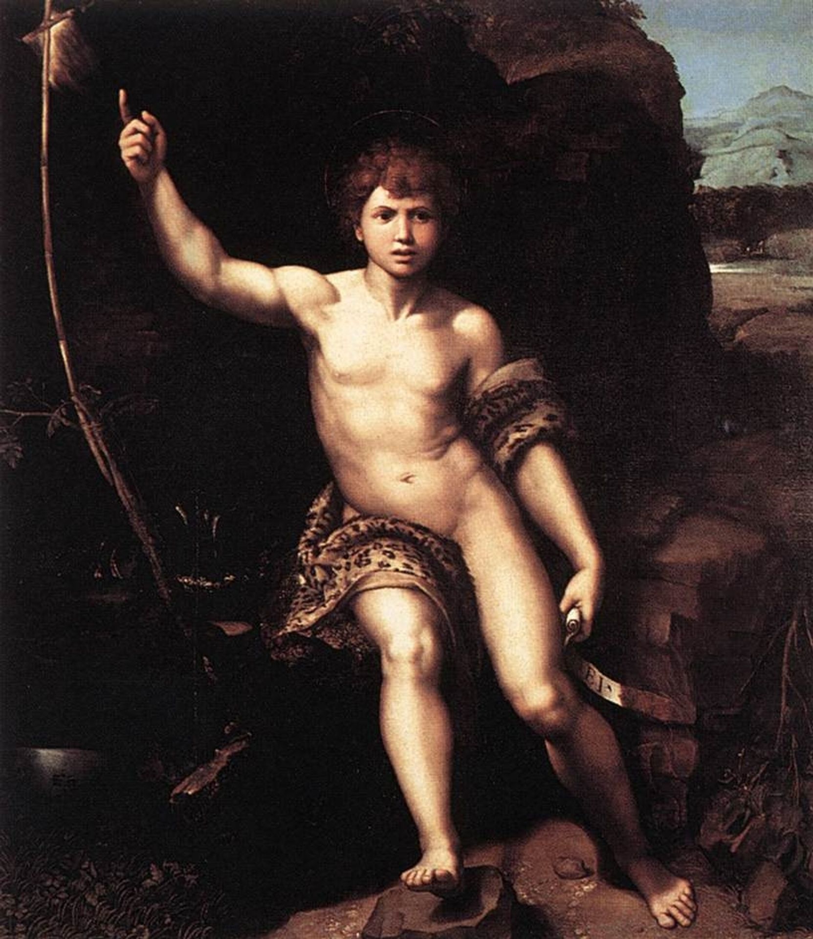 St. John the Baptist in the Desert by Raphael