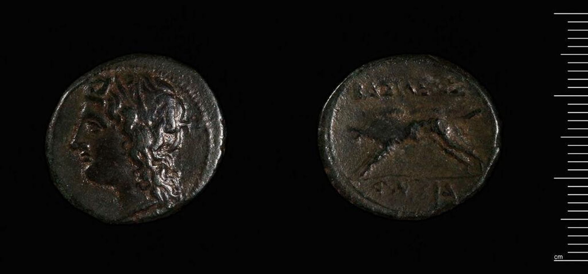 Coin of Akragas under Phintias by Phintias