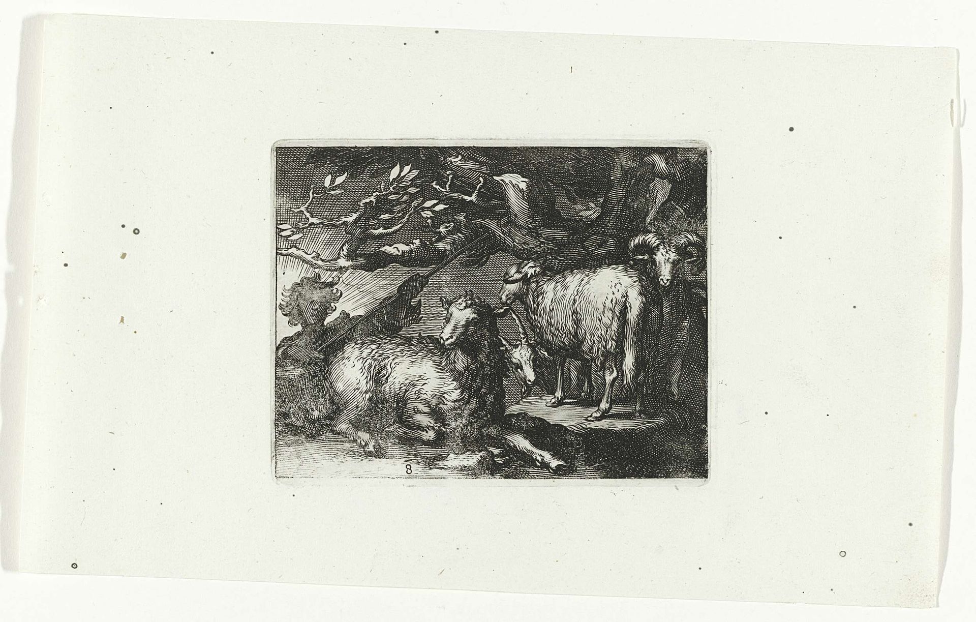 Herder met schapen by Anonymous