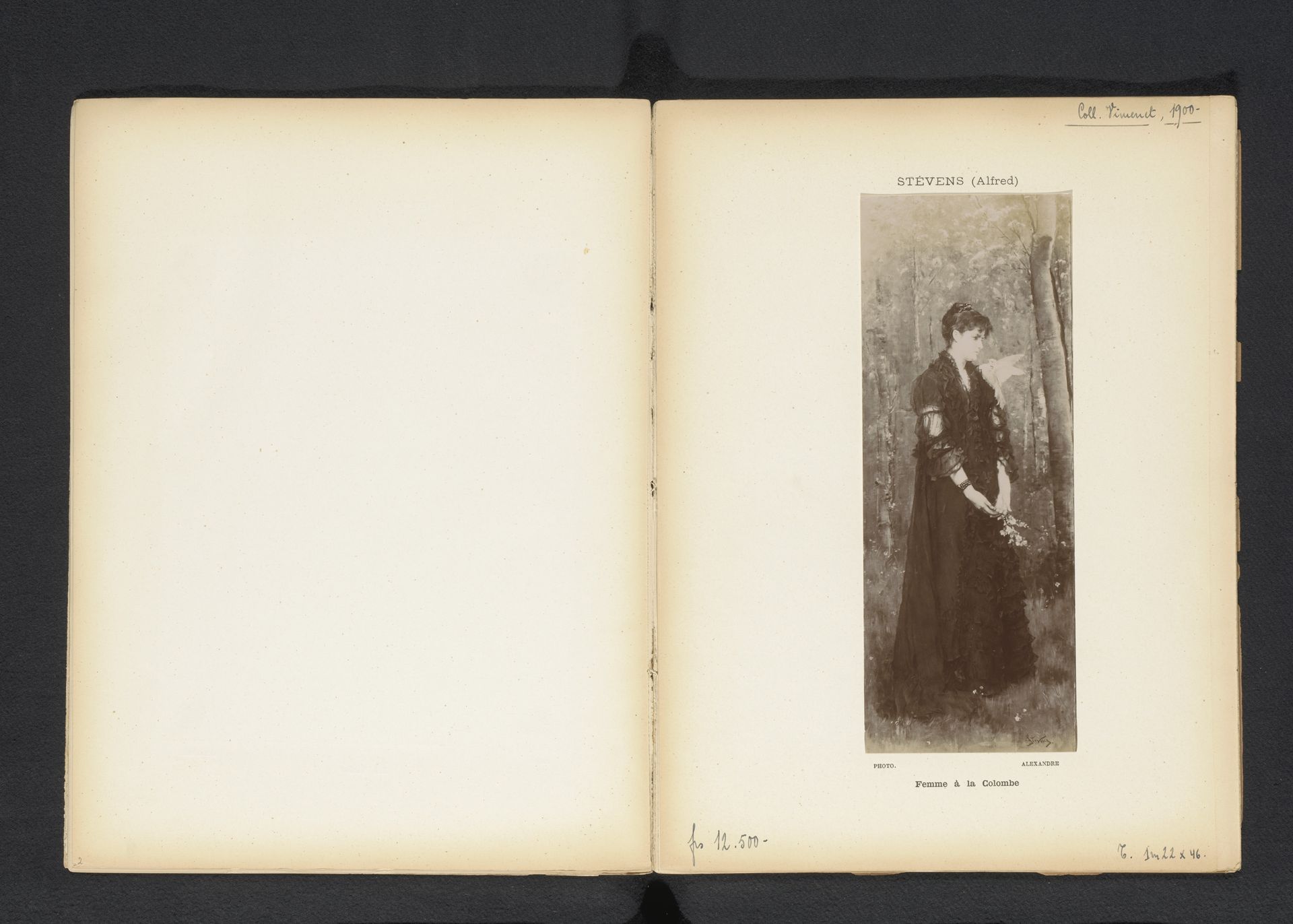 Fotoreproductie van een schilderij van een portret van een onbekende vrouw met een duif op haar schouder door Alfred Stevens by Alexandre (fotograaf)
