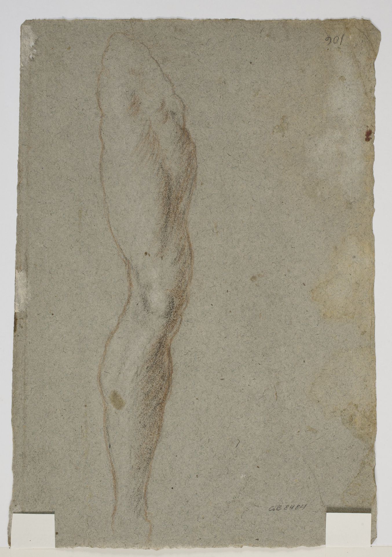 Study for a right leg by Anonymous