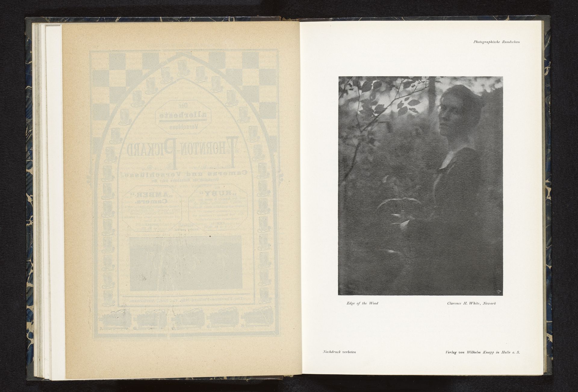 Portret van een onbekende vrouw voor struiken by Clarence Hudson White