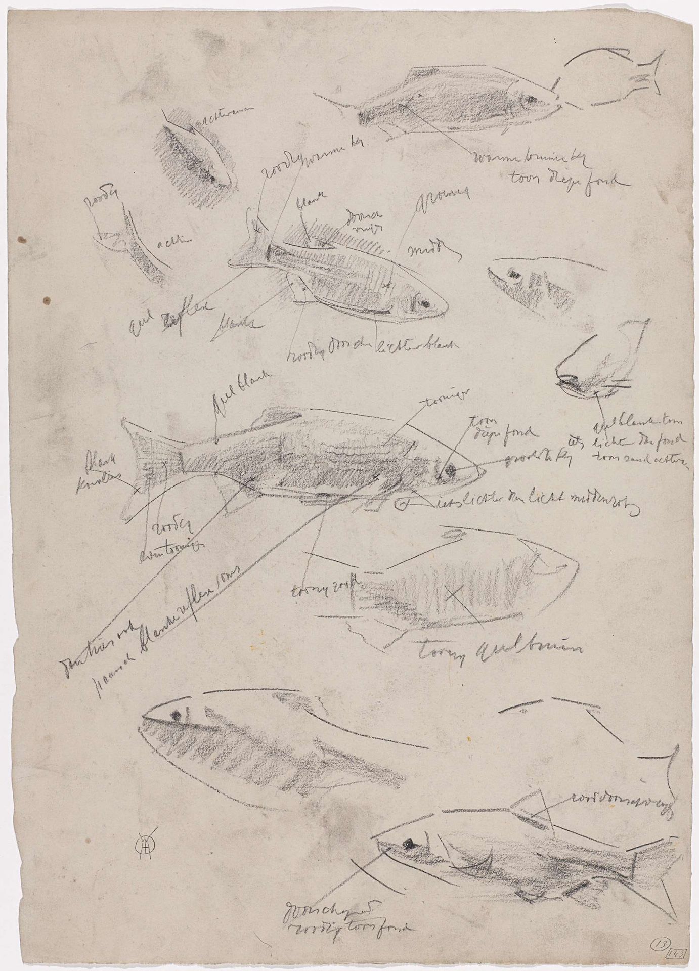 Schetsblad met studies van goudwinden by Gerrit Willem Dijsselhof