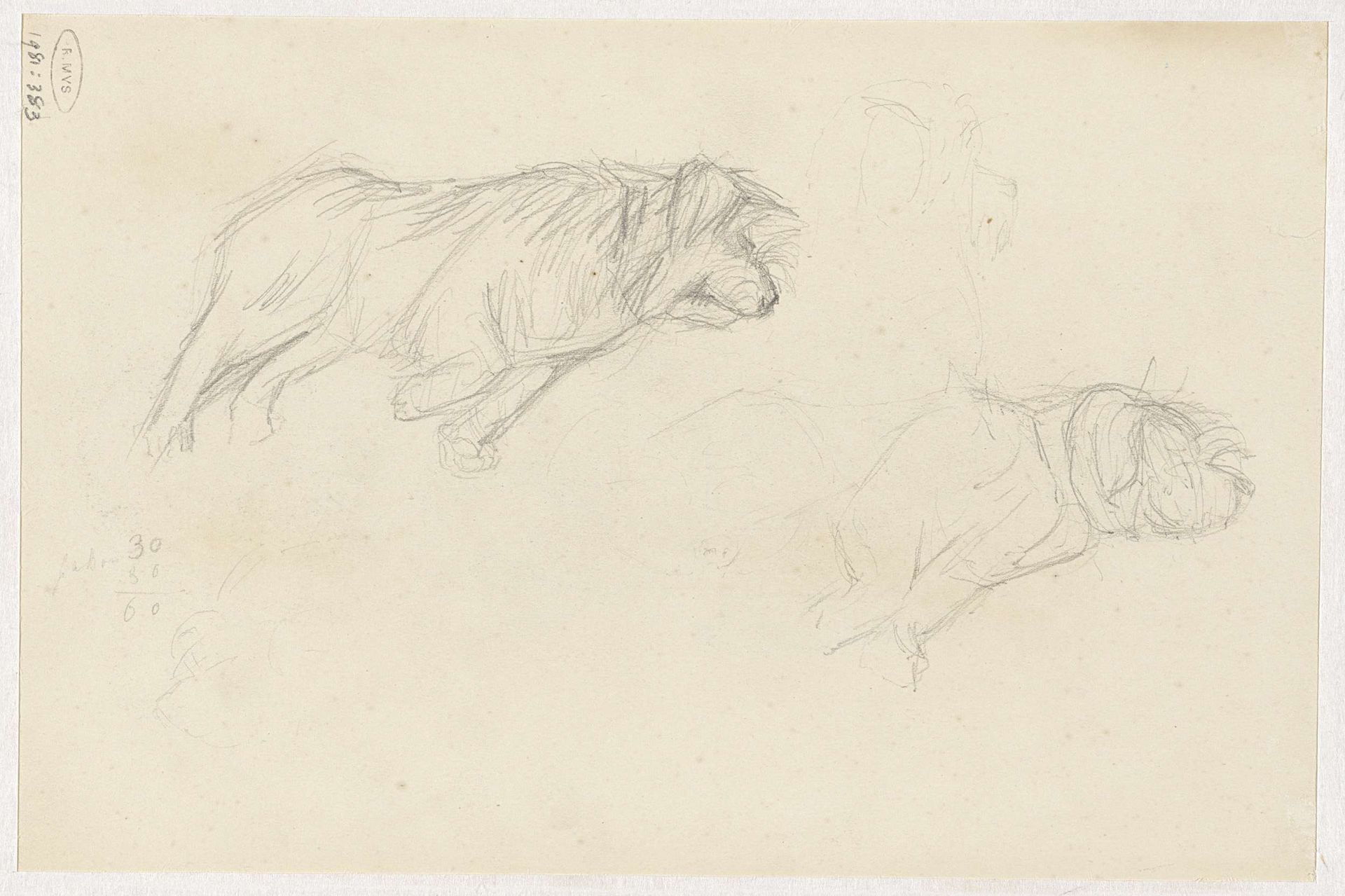 Studies van een hond by Jozef Israëls
