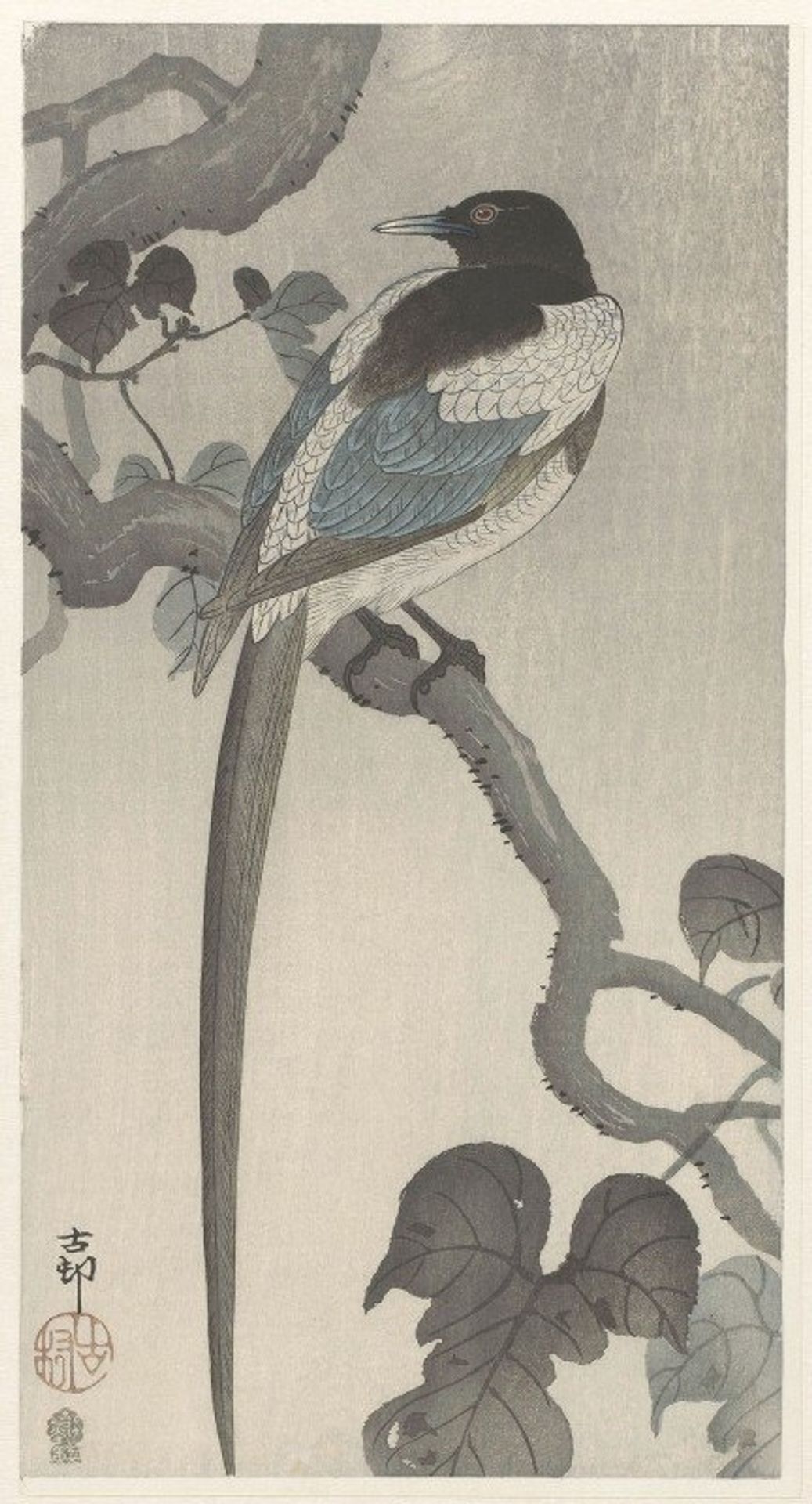Magpie on tree branch by Ohara Koson