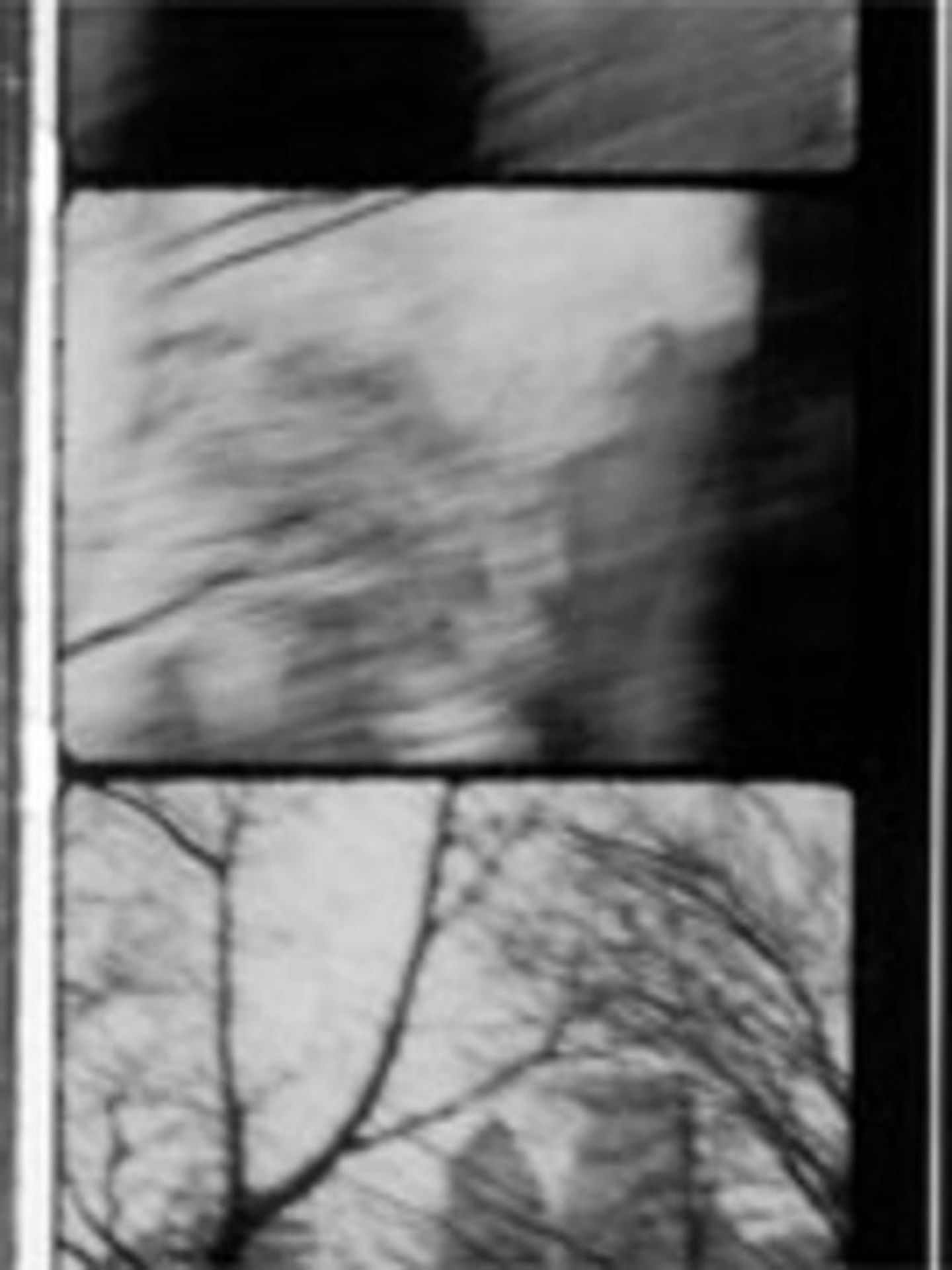 Diaries, Notes & Sketches a.k.a. Walden by  Jonas Mekas