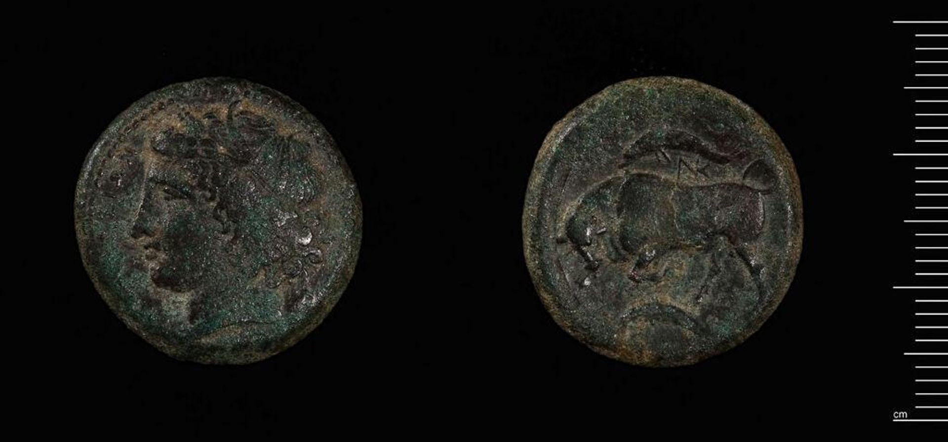 Coin of Agathokles, Tyrant of Syracuse by Agathokles of Syracuse