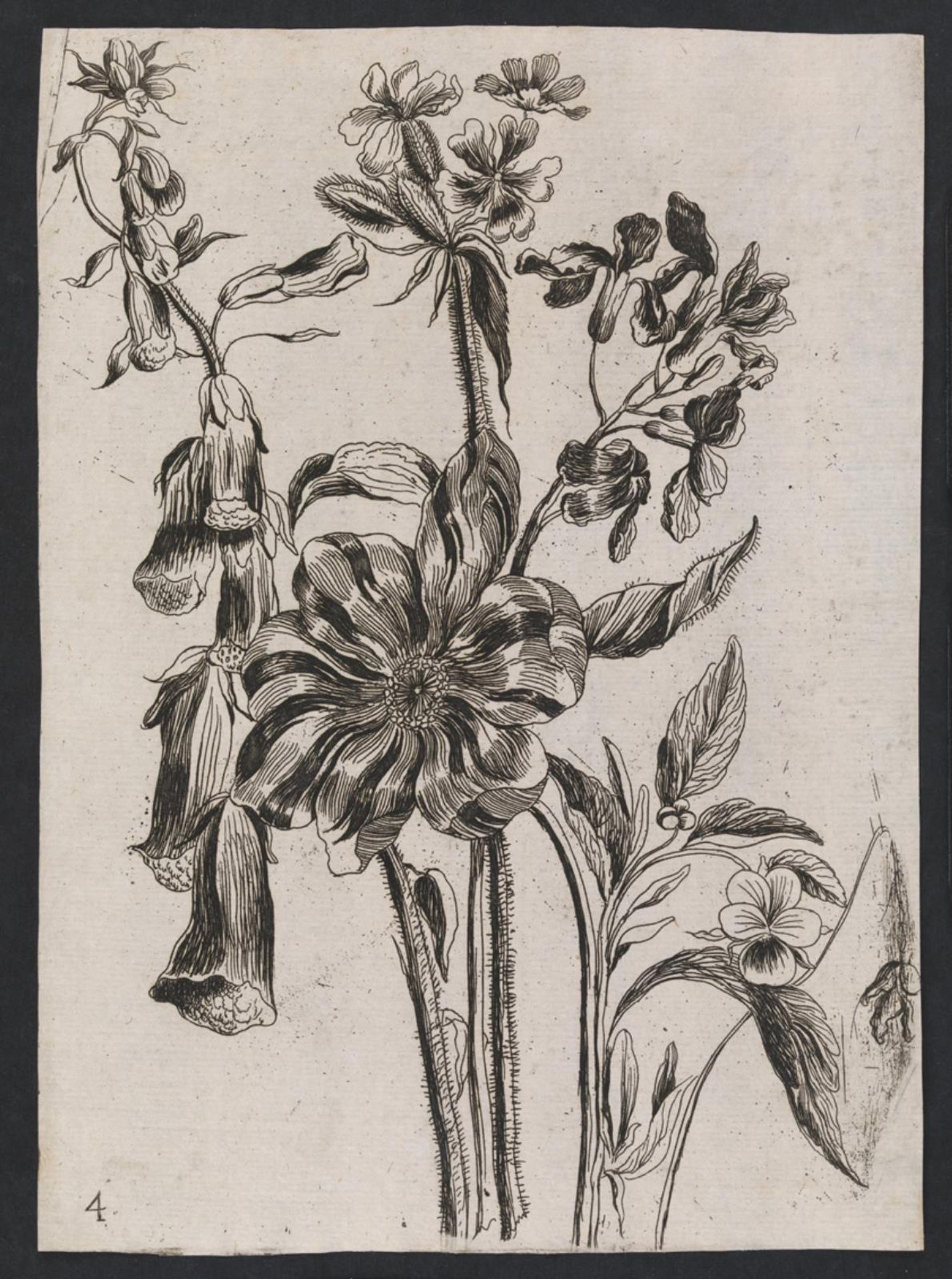 Flowers by Anonymous