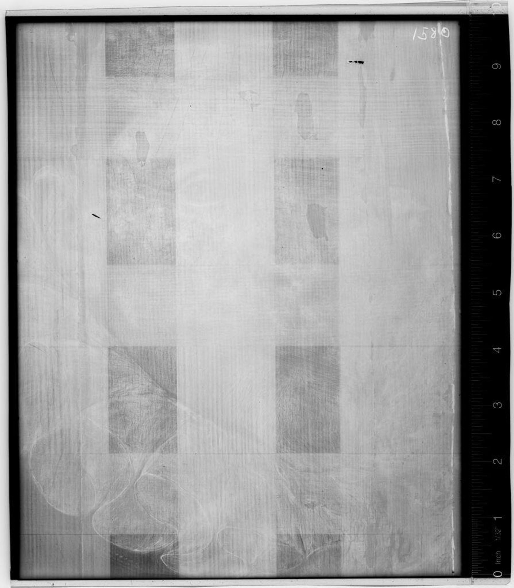 X-radiograph(s) of "Peter Ricardus" by Artist of original: Frans Pourbus, the Younger