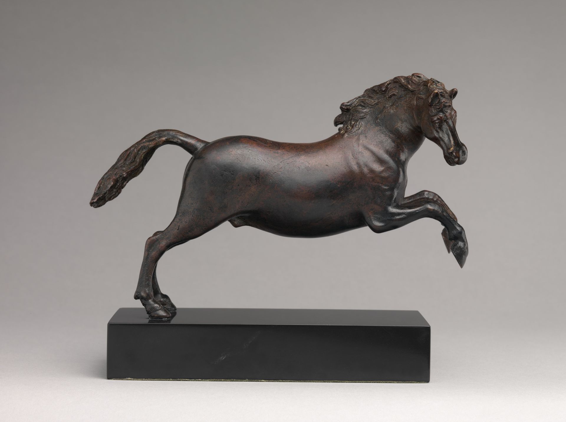 Galloping horse by Francesco Fanelli