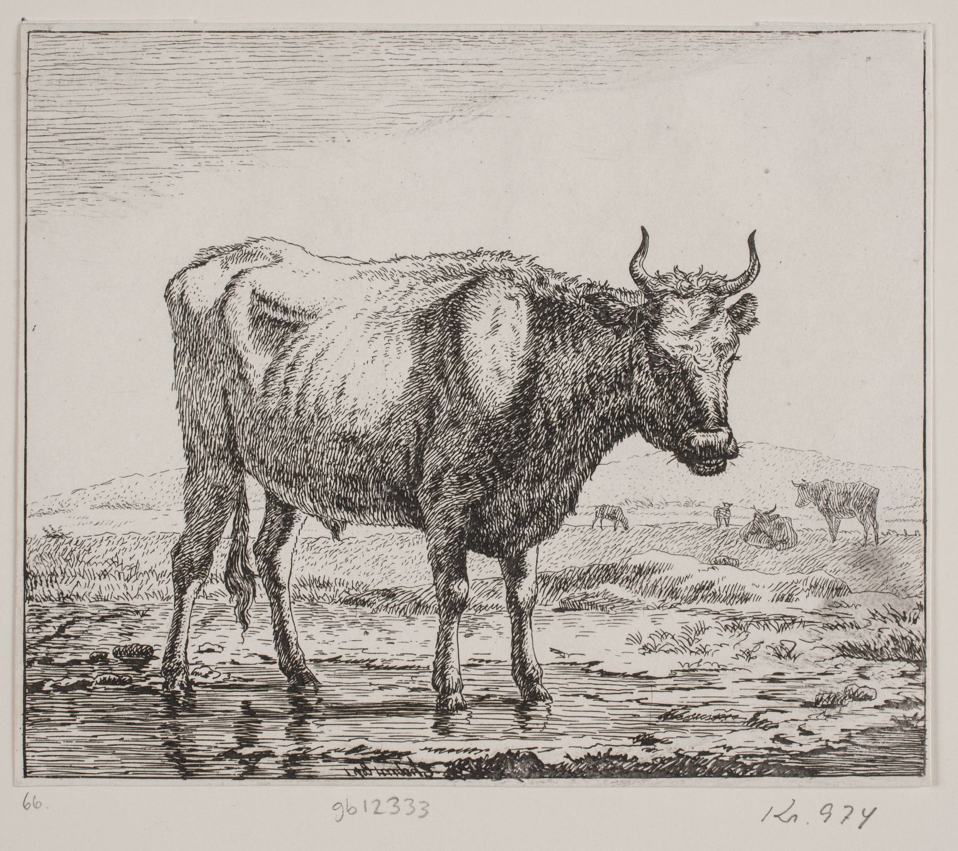 Stående ko ved vandhul by Christian Holm