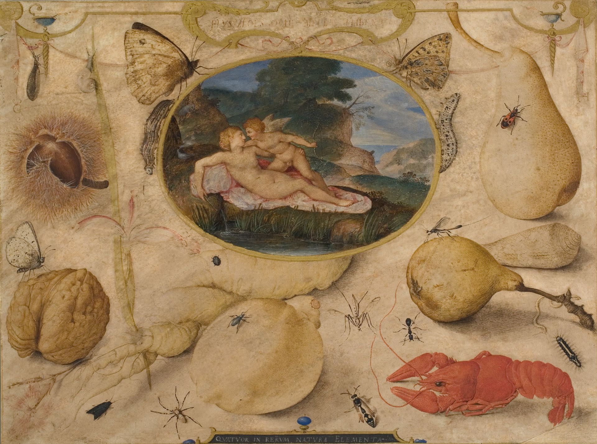 "Venus disarming Amor" in a medallion surrounded by plants, fruits, insects and shellfish by Joris Hoefnagel