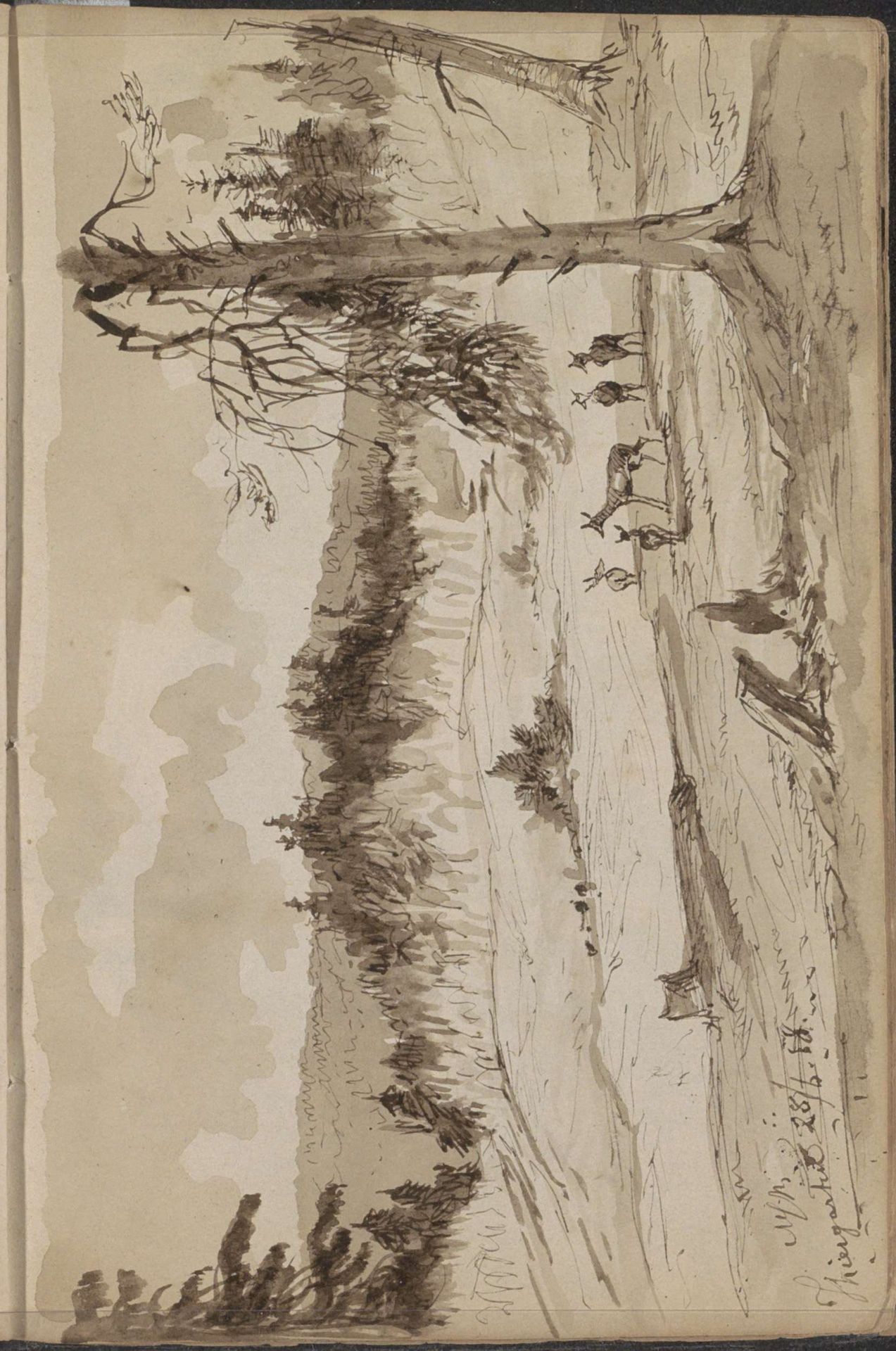 Herten in een diergaarde in Bohemen, mogelijk Marienbad by Johannes Tavenraat