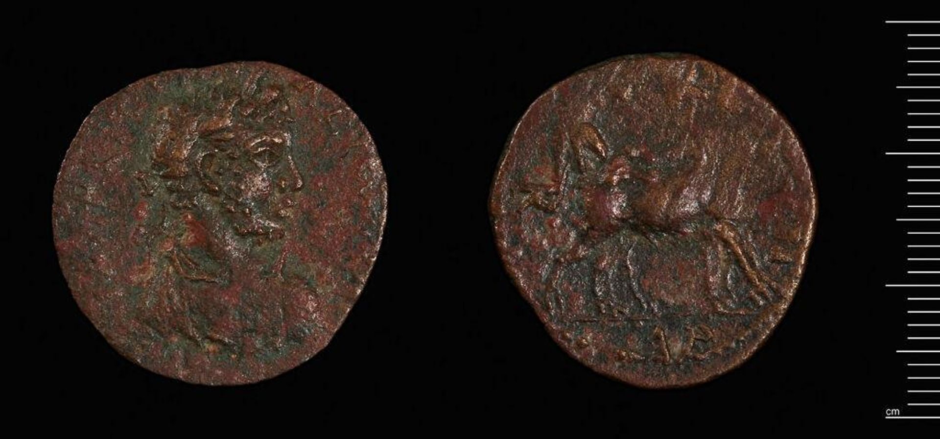 Coin of Parium under Gallienus by Gallienus