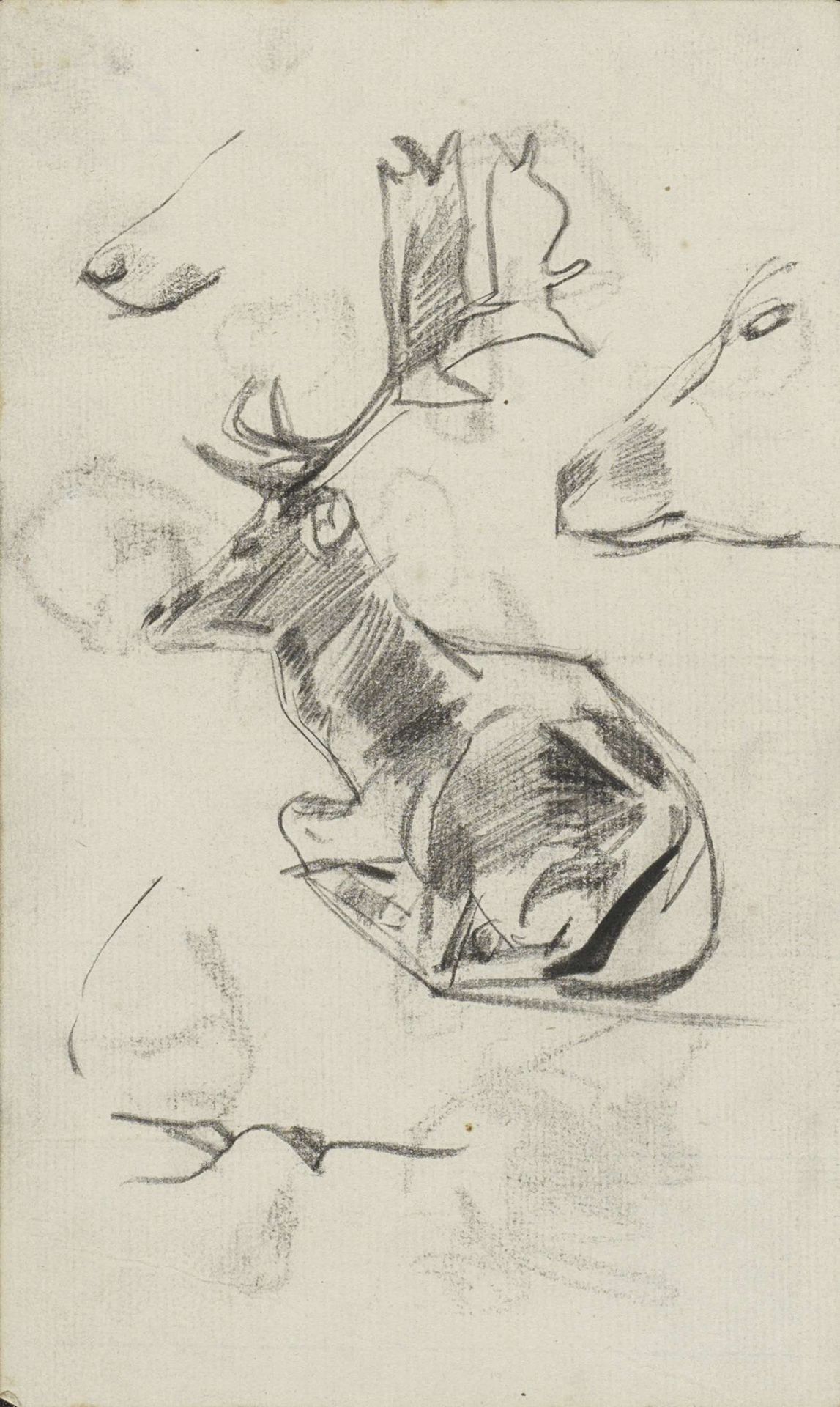 Studies van een liggend hert by George Hendrik Breitner