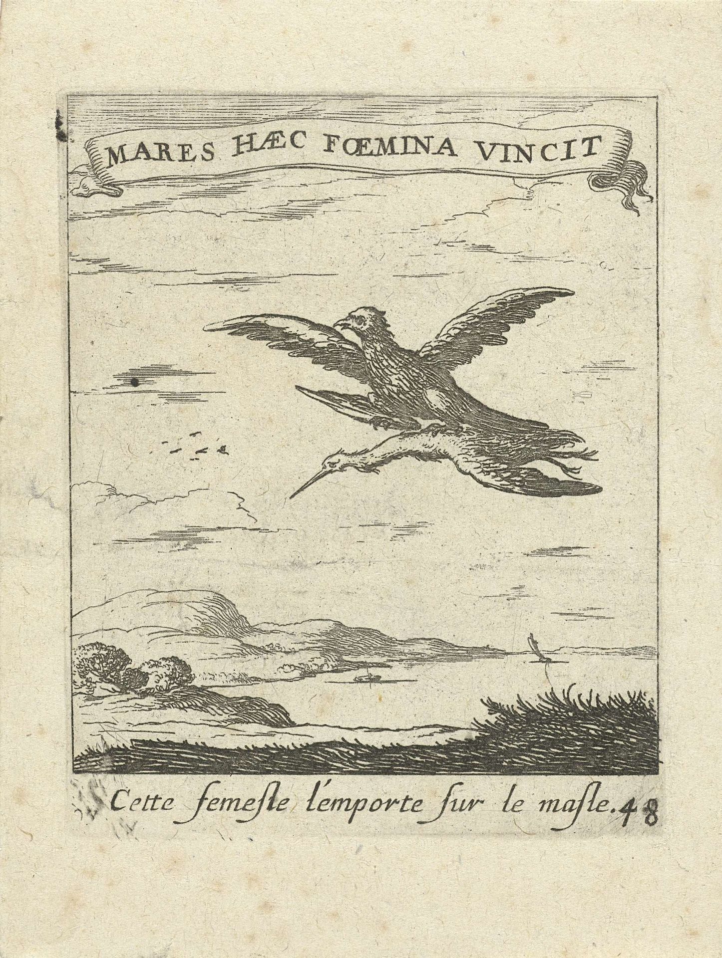 Valk met ooievaar by Albert Flamen