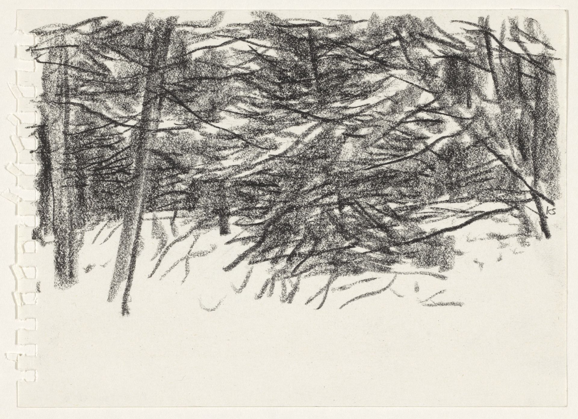 Bomen en struikgewas by Kees Stoop