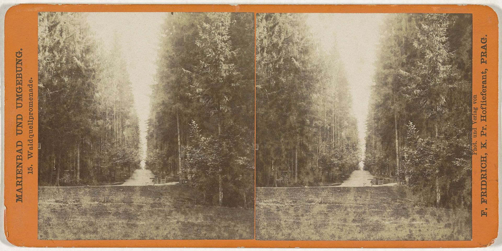 Weg naar een bron in het bos, Mariánské Lázně by František Fridrich