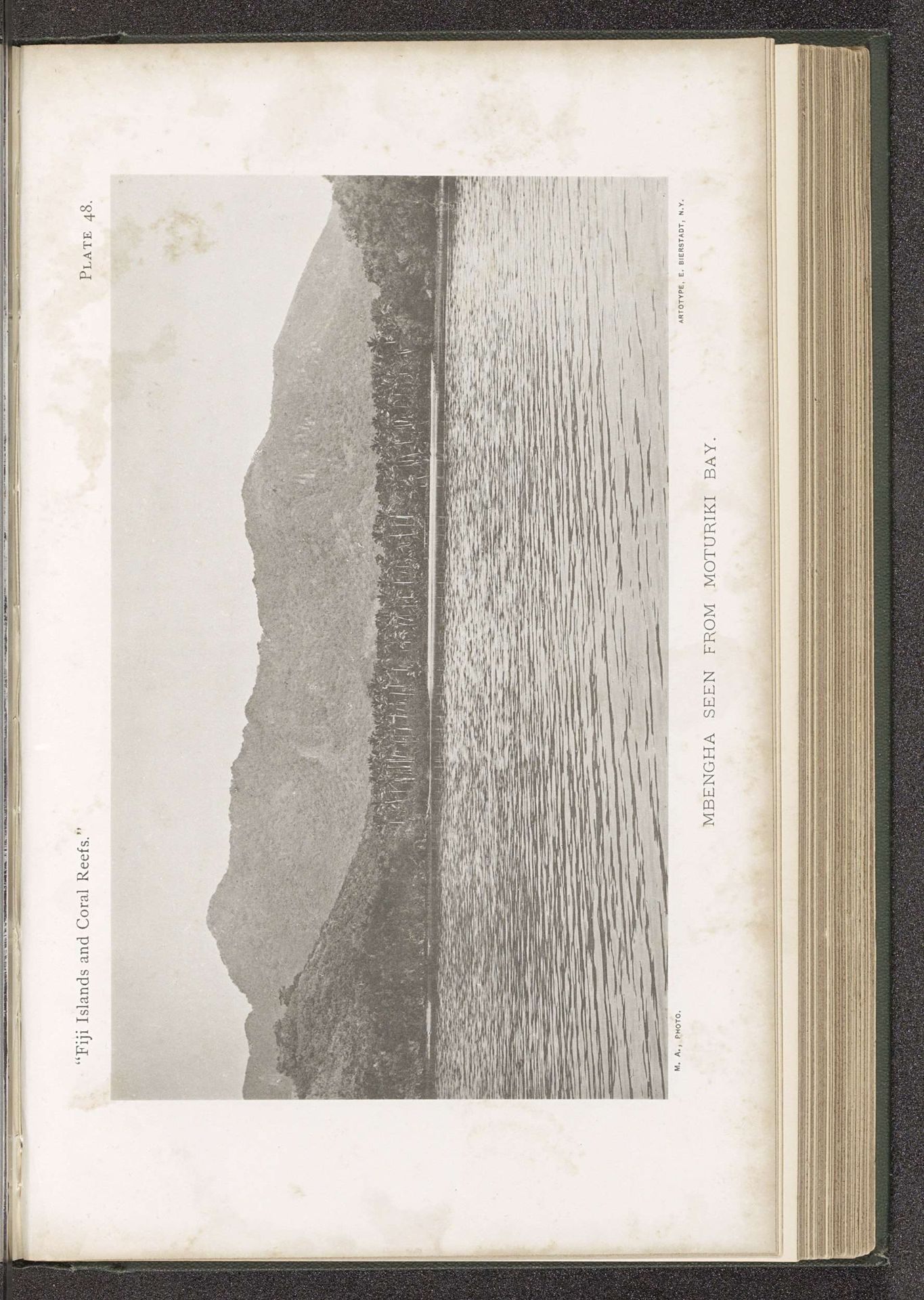Gezicht op Beqa vanaf Moturiki by Maximilian Agassiz