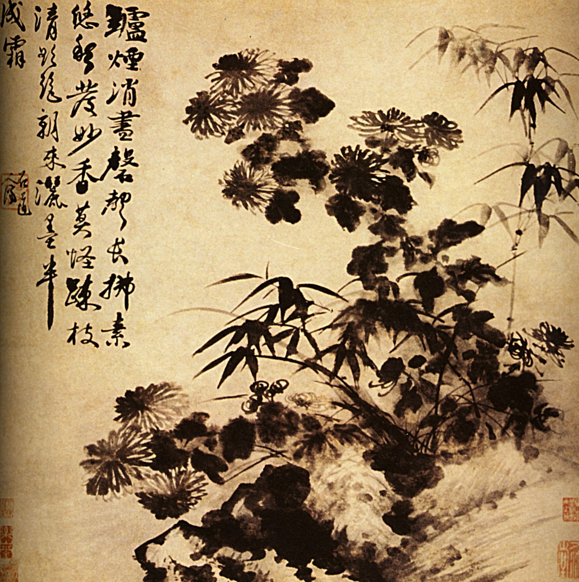 Chrysanthemums and bamboo by Shitao