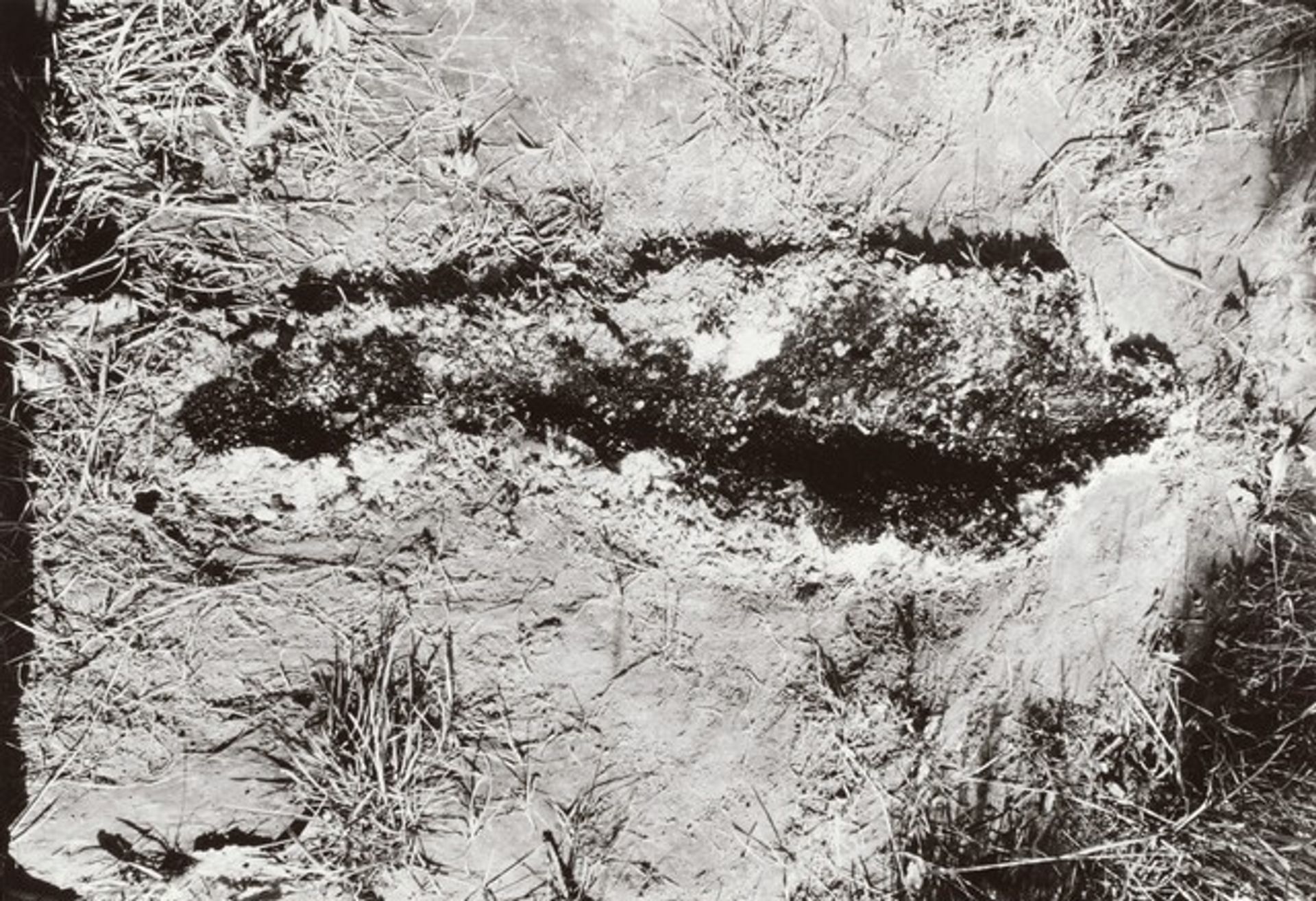Untitled (Silueta series) by Ana Mendieta