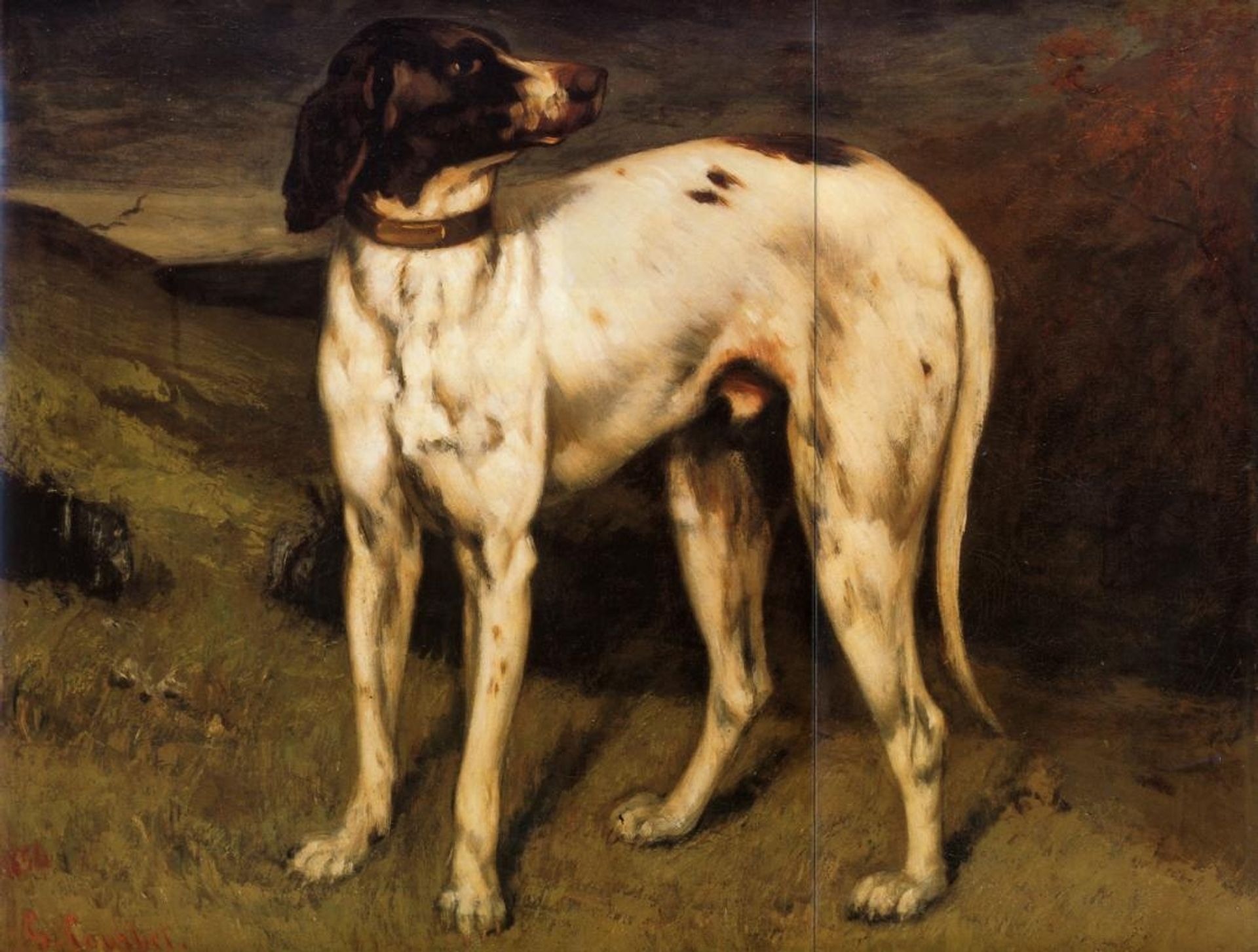 Dog from Ornans by Gustave Courbet