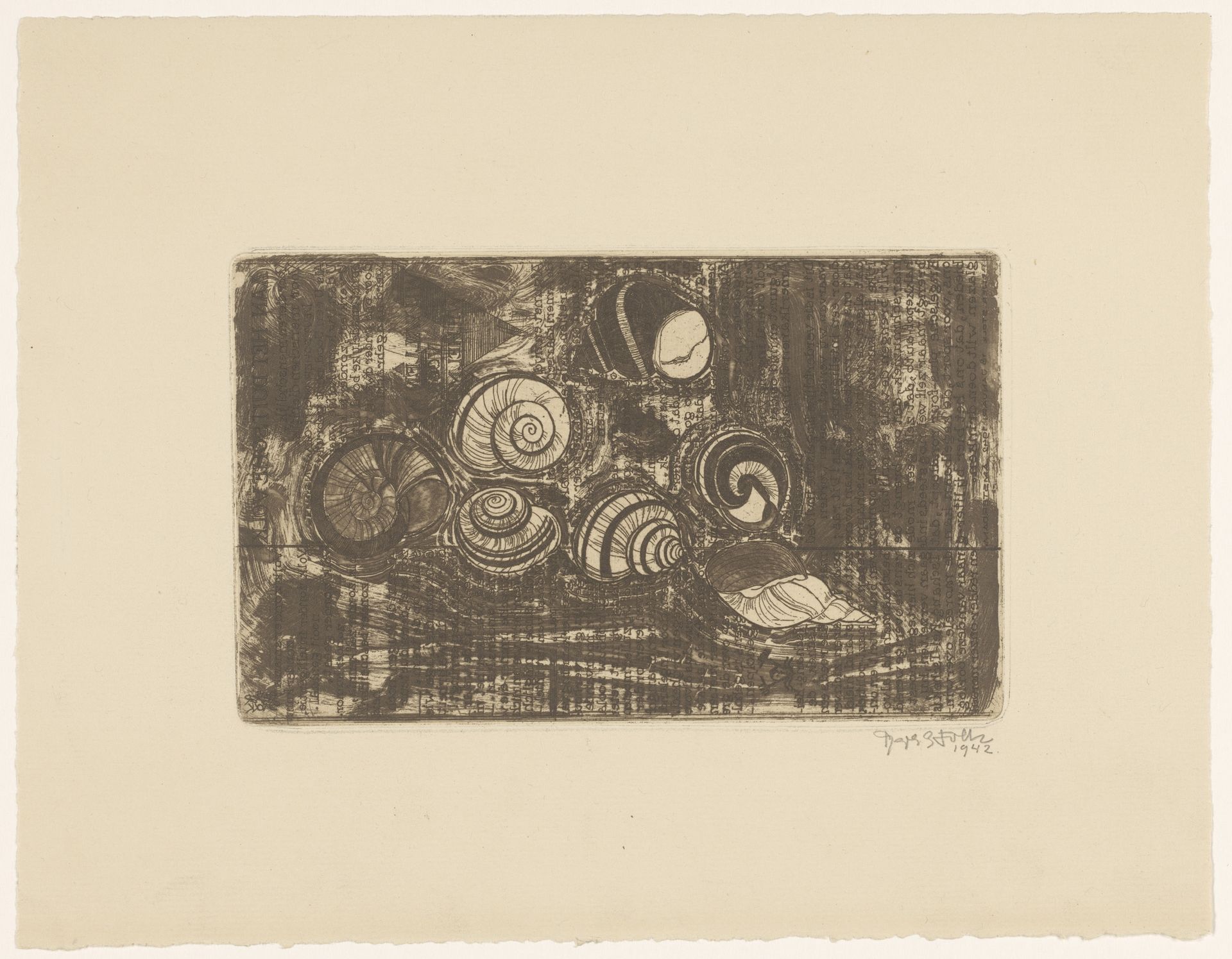 Zeven schelpen by Reijer Stolk