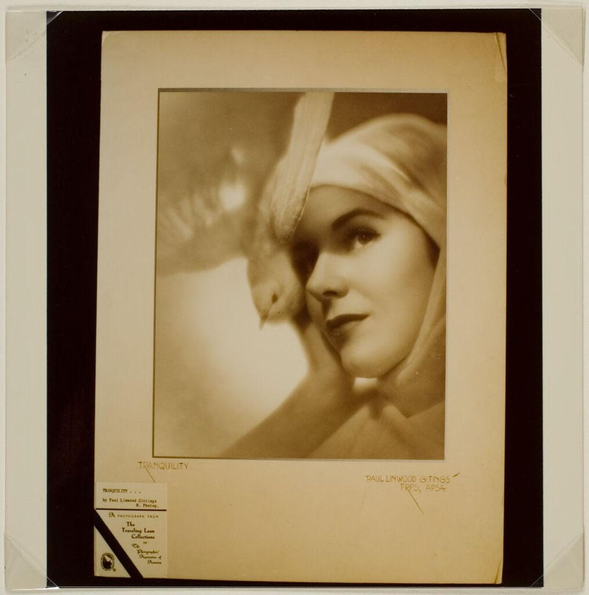 Untitled (photograph of Gittings photo: "Tranquility") by Paul Gittings