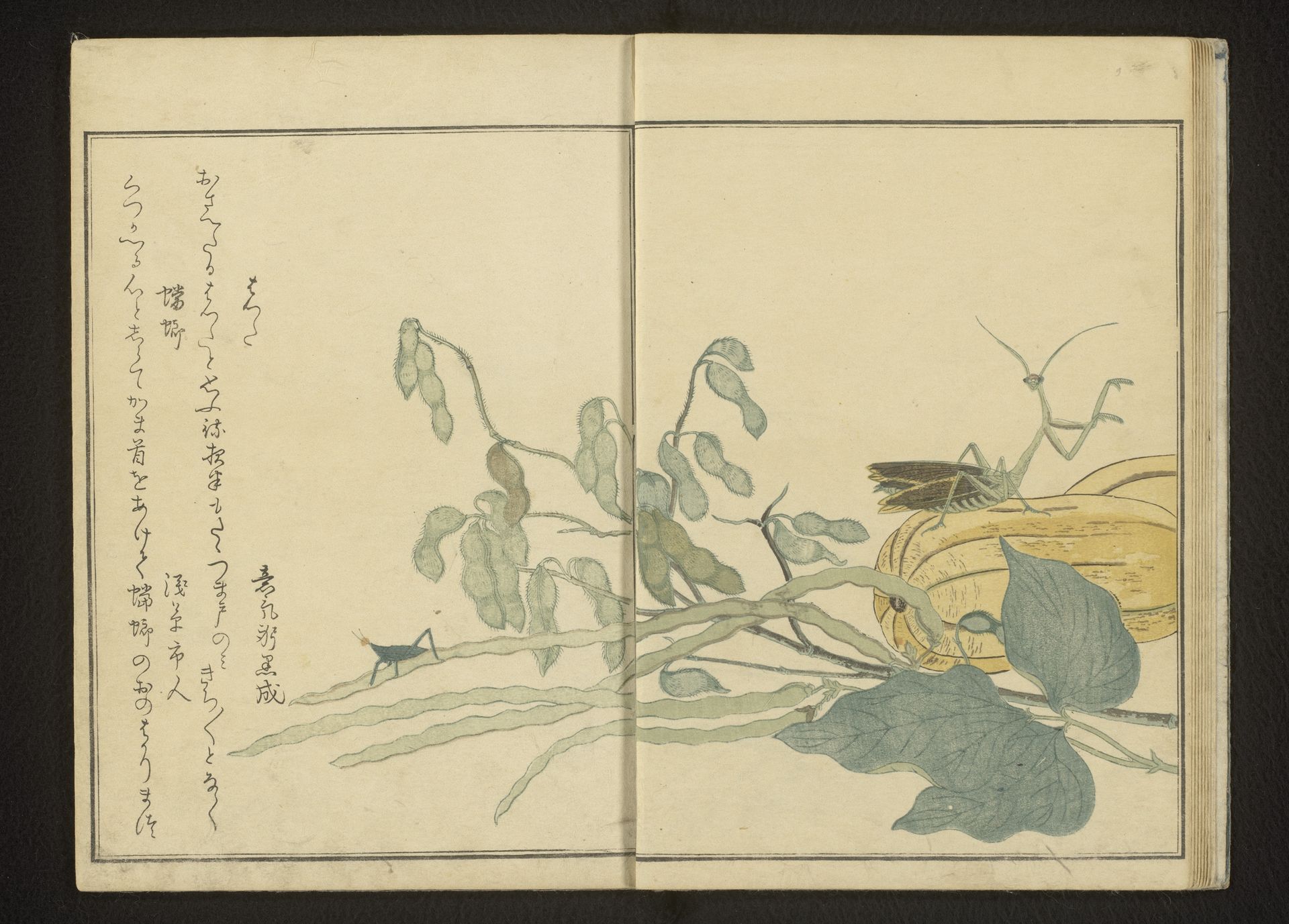 Grasshopper on bean and praying mantis on melon by Kitagawa Utamaro