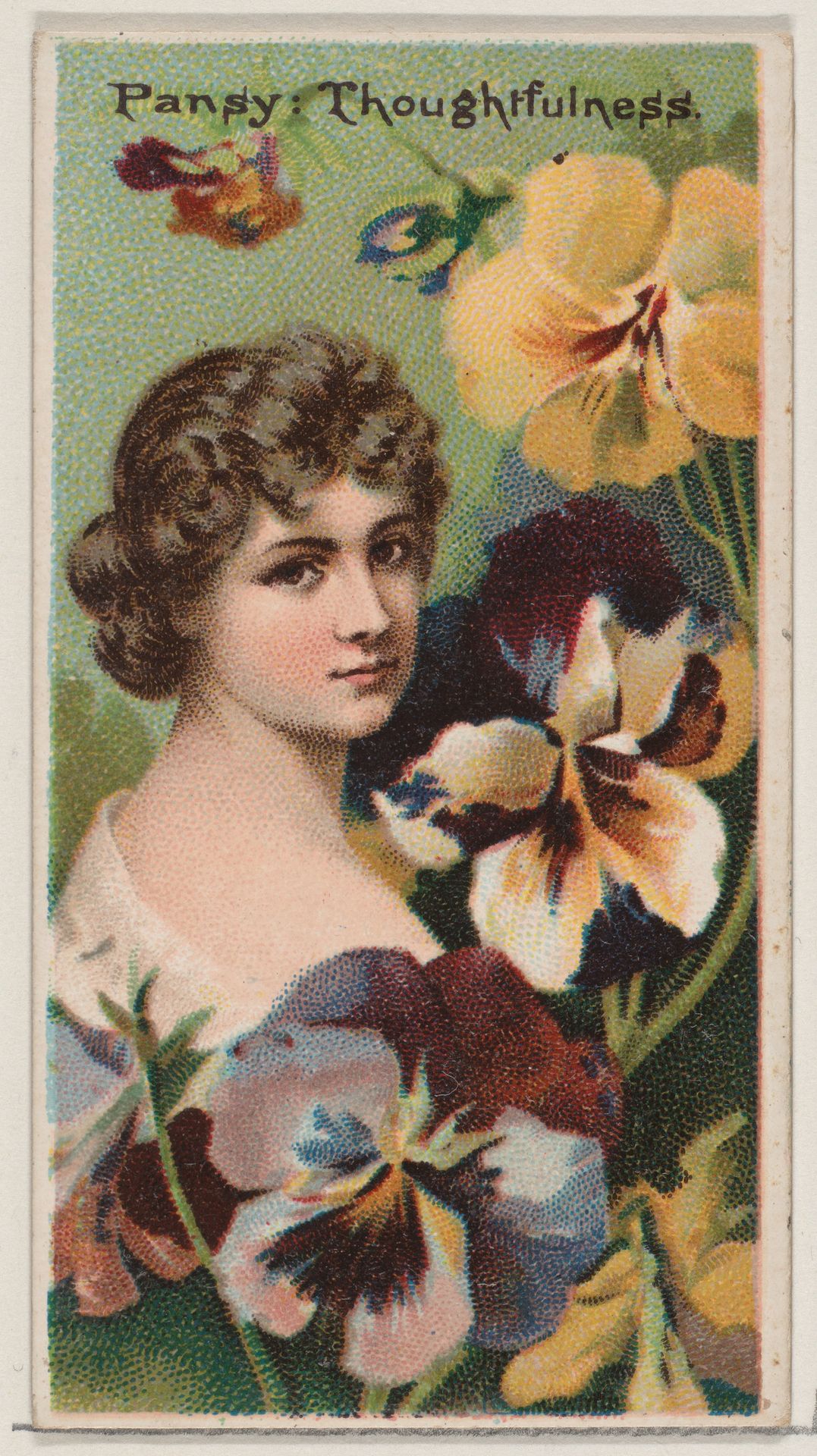 Pansy: Thoughtfulness, from the series Floral Beauties and Language of Flowers (N75) for Duke brand cigarettes by American Tobacco Company