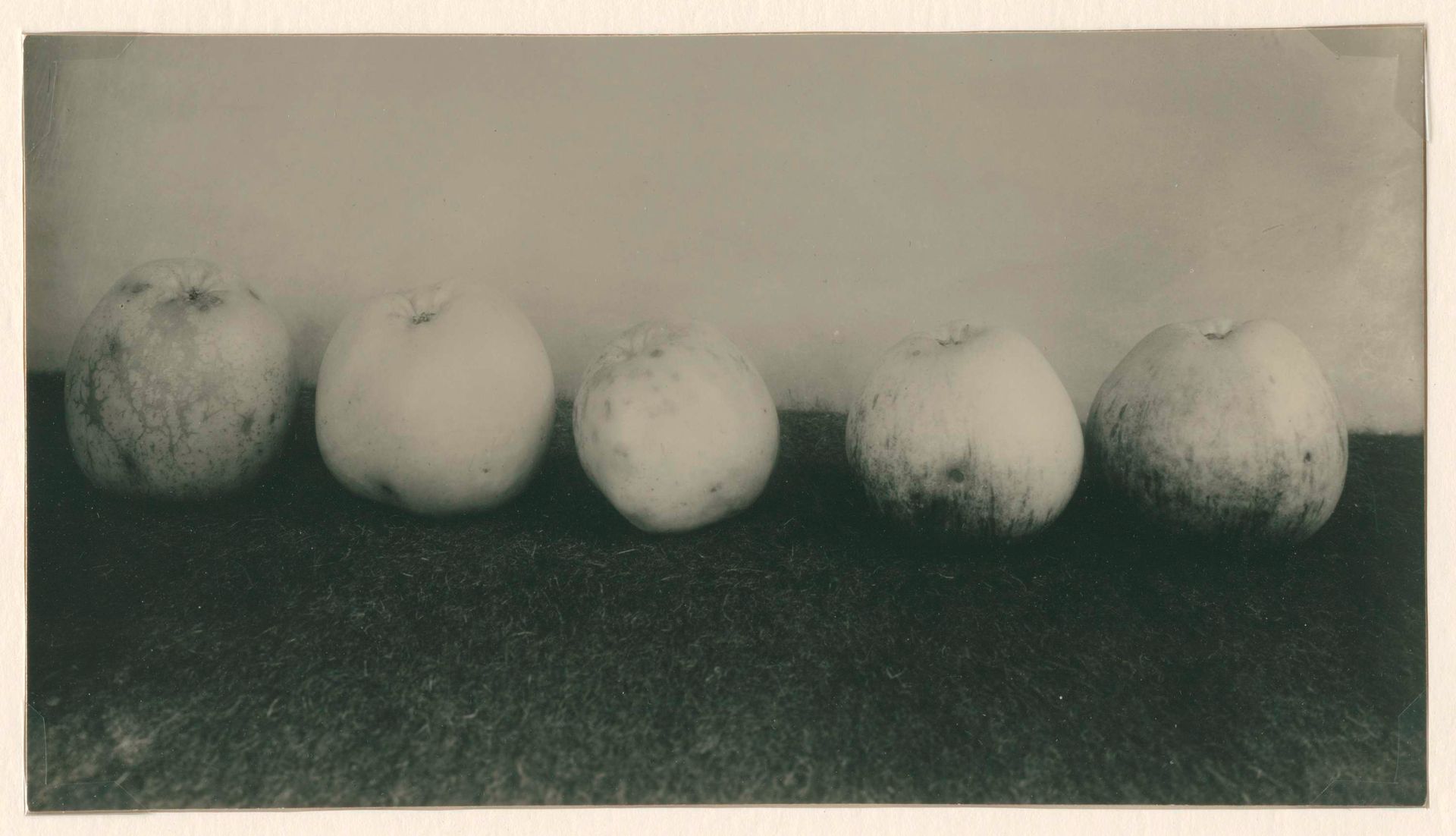 Stilleven met vijf appels by Richard Tepe