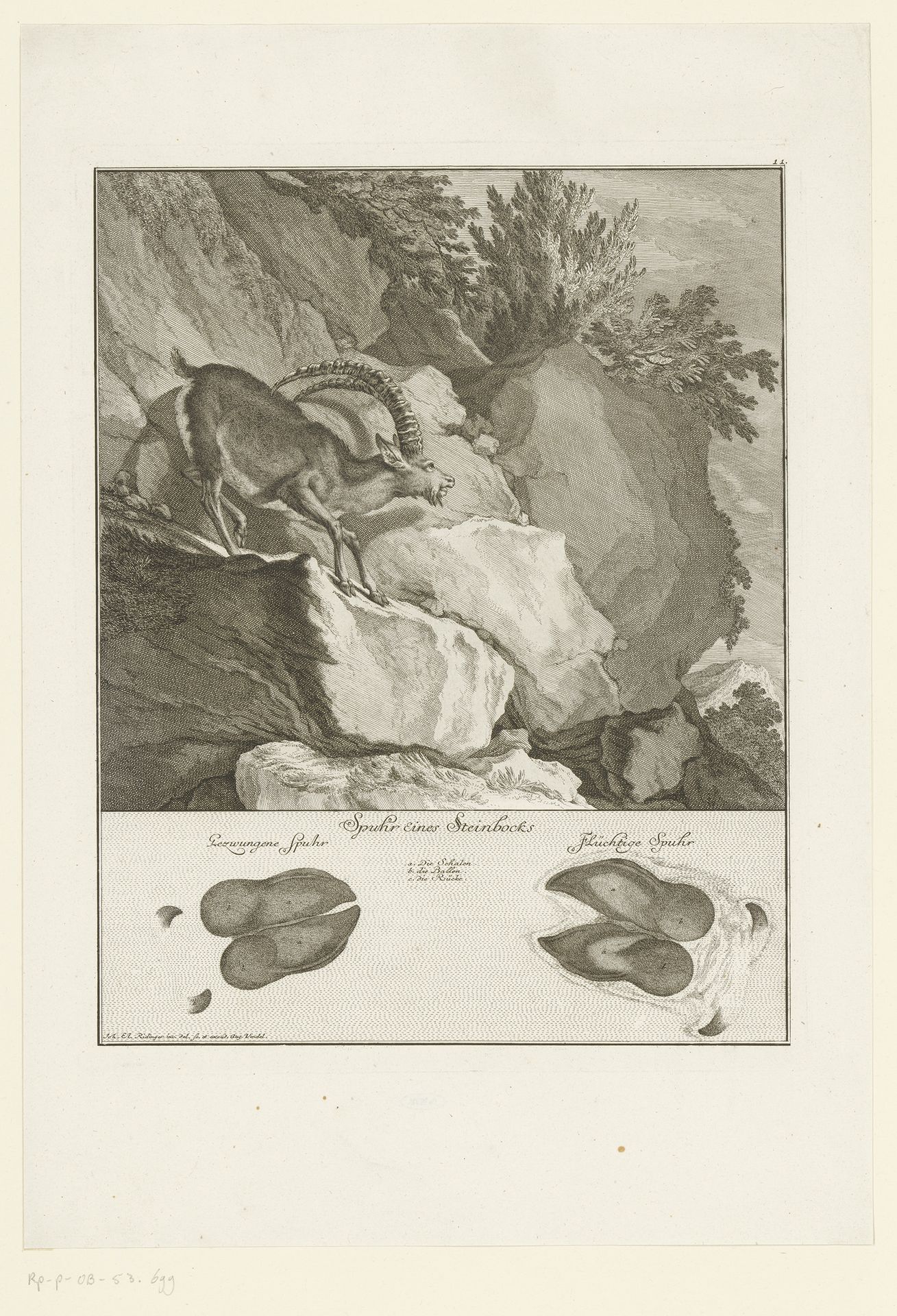 Steenbok met spoor by Johann Elias Ridinger