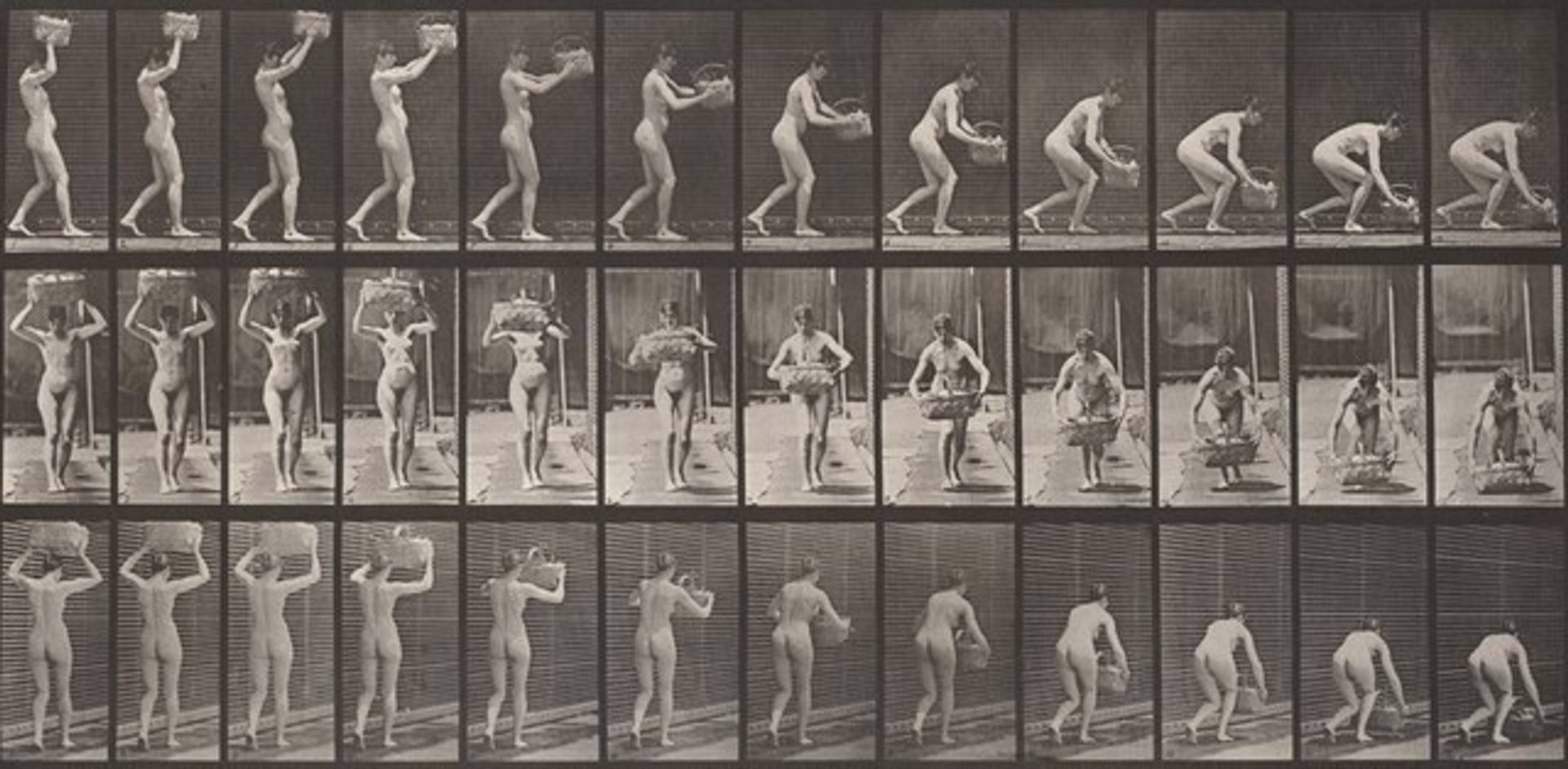 Plate Number 201. Taking a 12-lb. basket from head and putting it on the ground by Eadweard Muybridge
