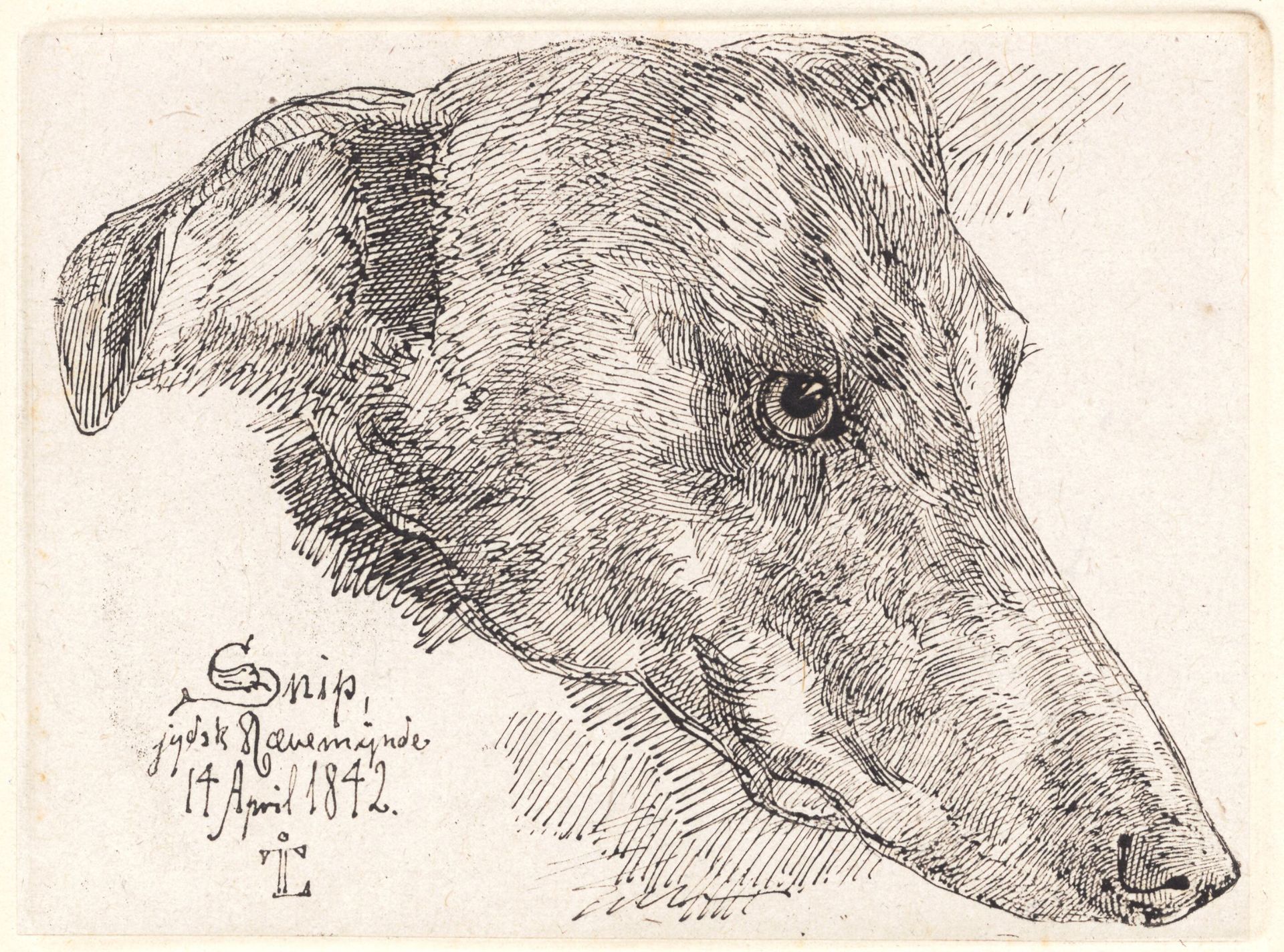 Hundehoved, Snip by Johan Thomas Lundbye