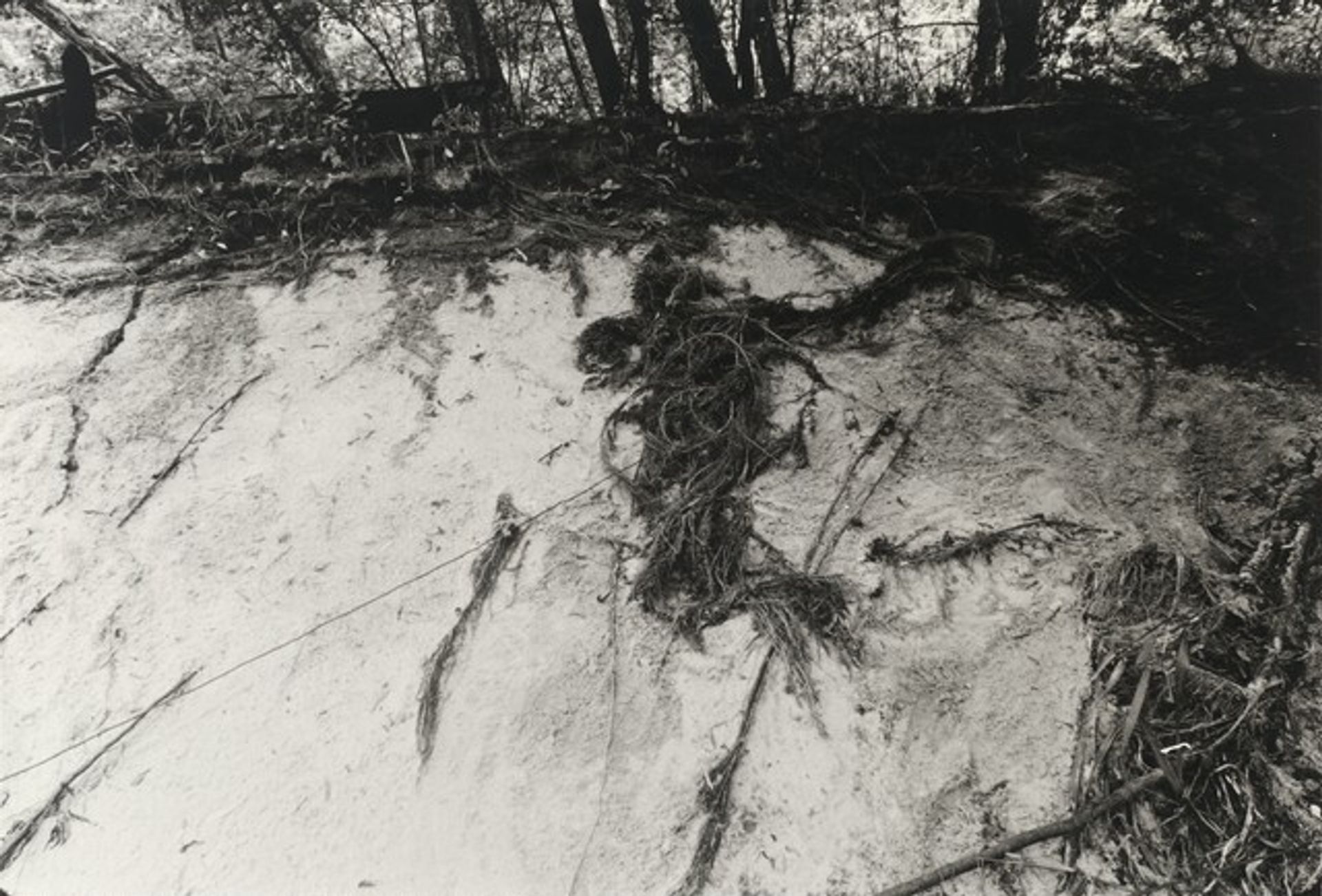 Untitled (Silueta series) by Ana Mendieta