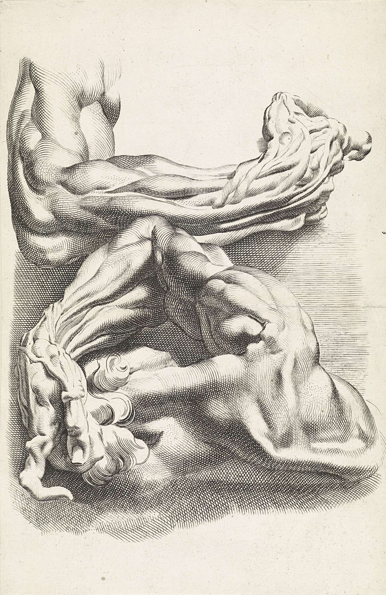 Twee anatomische studies van armen by Paulus Pontius