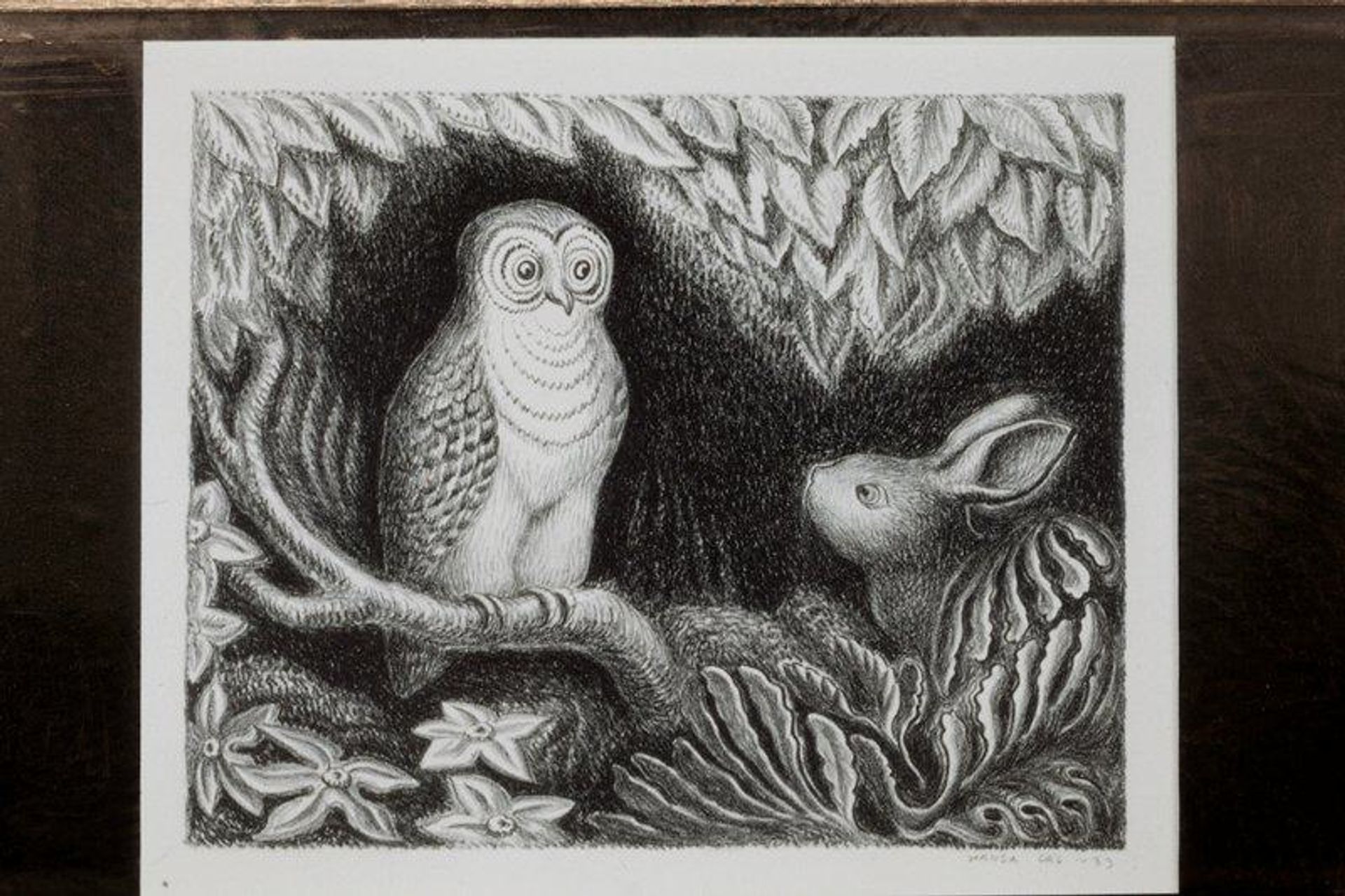 O from The ABC Bunny by Wanda Gág