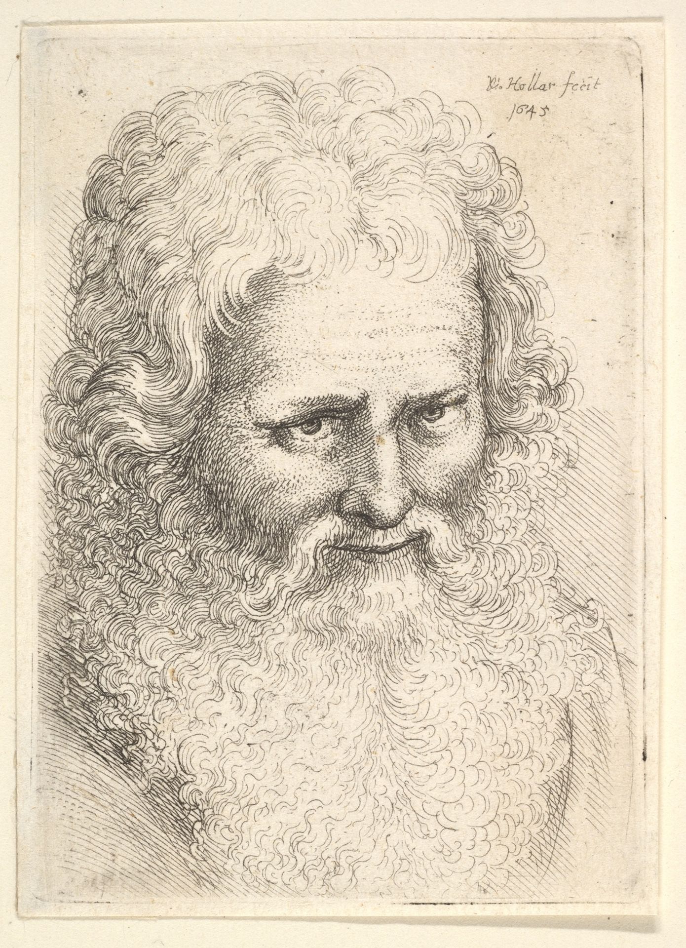 Head of an old man with a large beard by Wenceslaus Hollar
