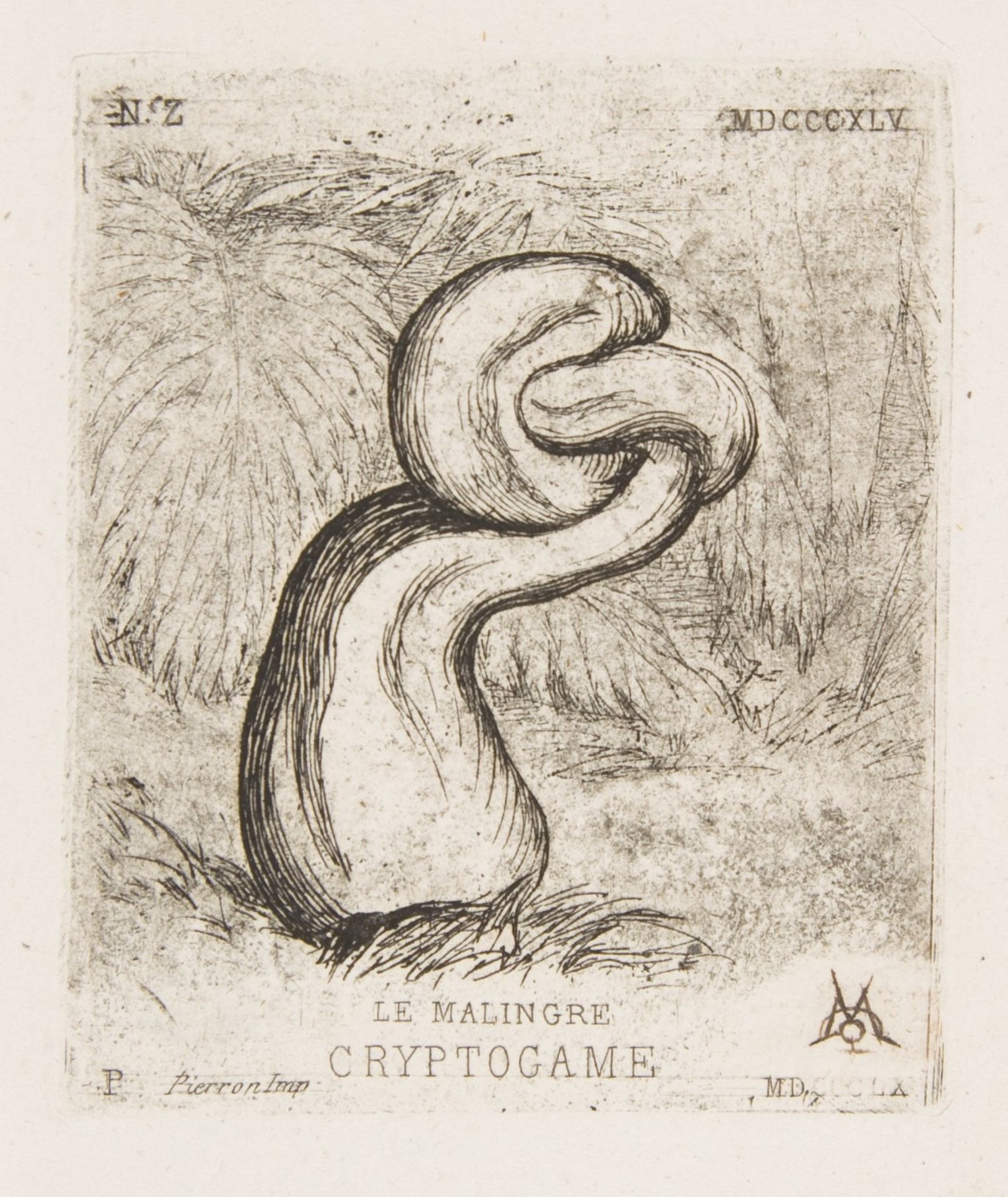 The puny Cryptogamia by Charles Meryon