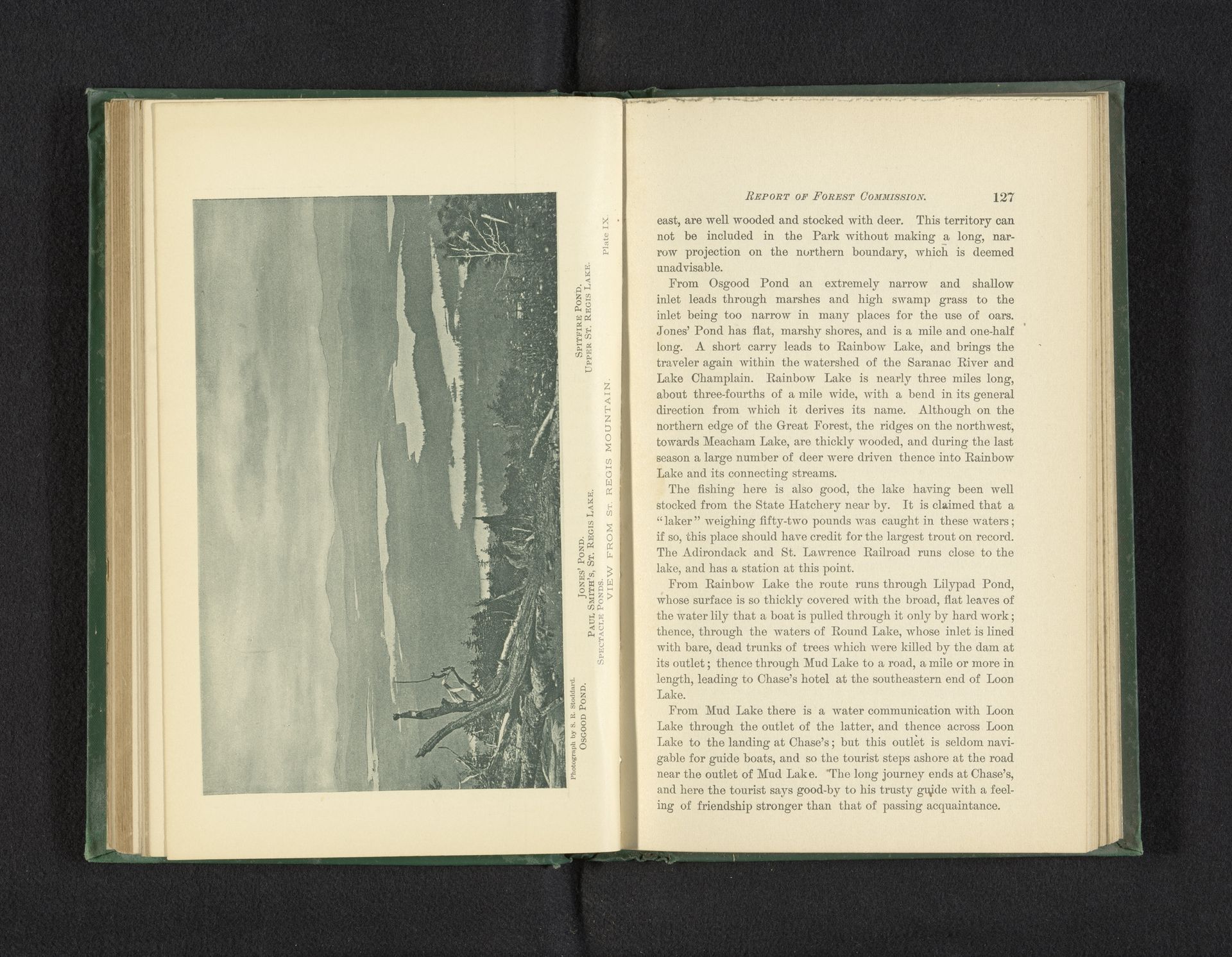 View from St. Regis Mountain by Seneca Ray Stoddard