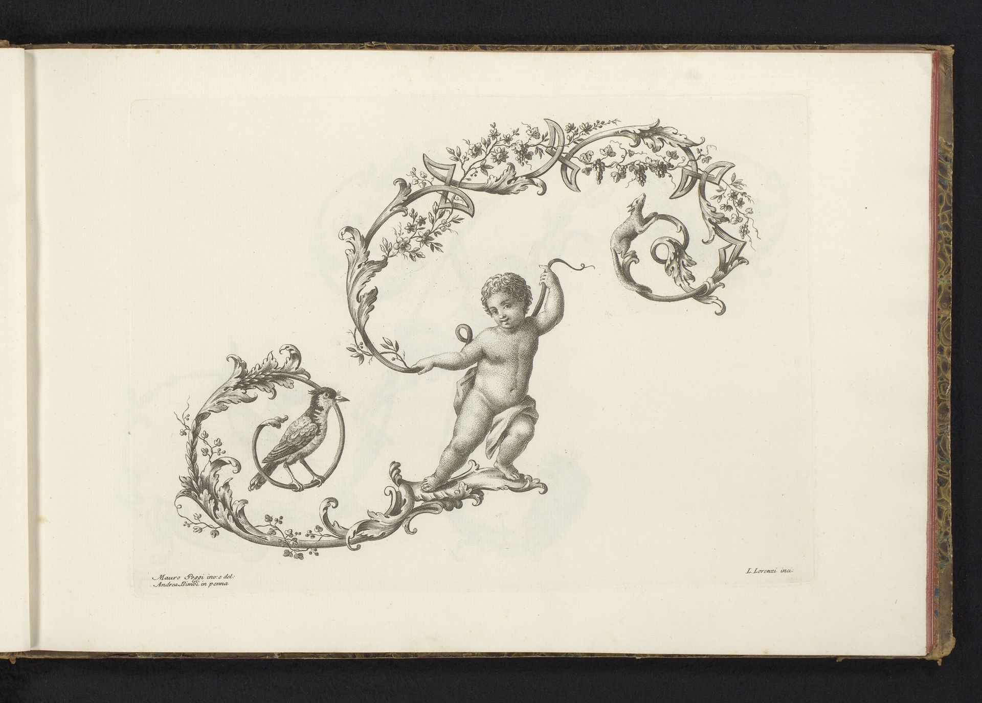 Ornamentele letter G by Lorenzo Lorenzi