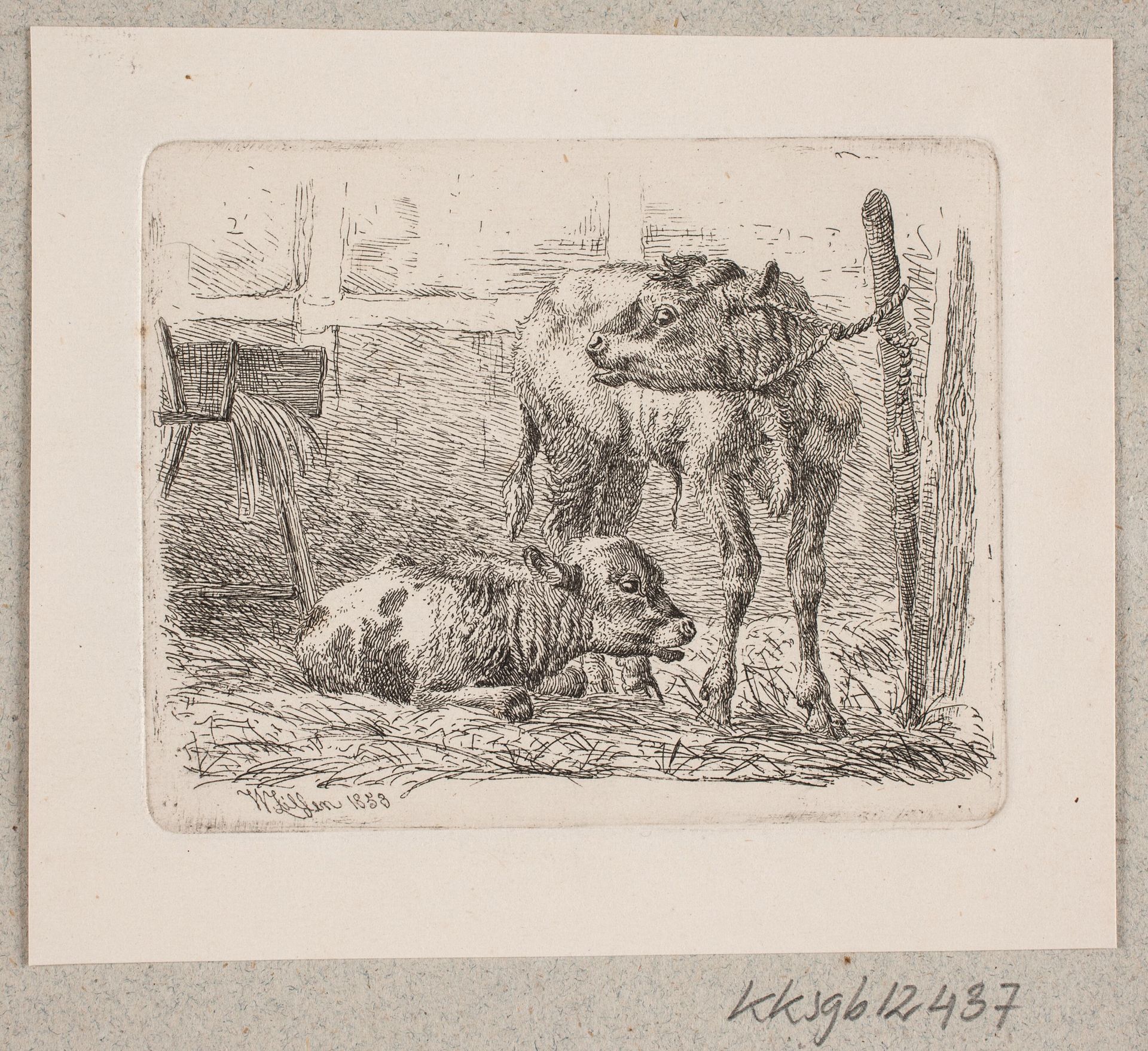 To kalve by Johannes Wilhelm Zillen