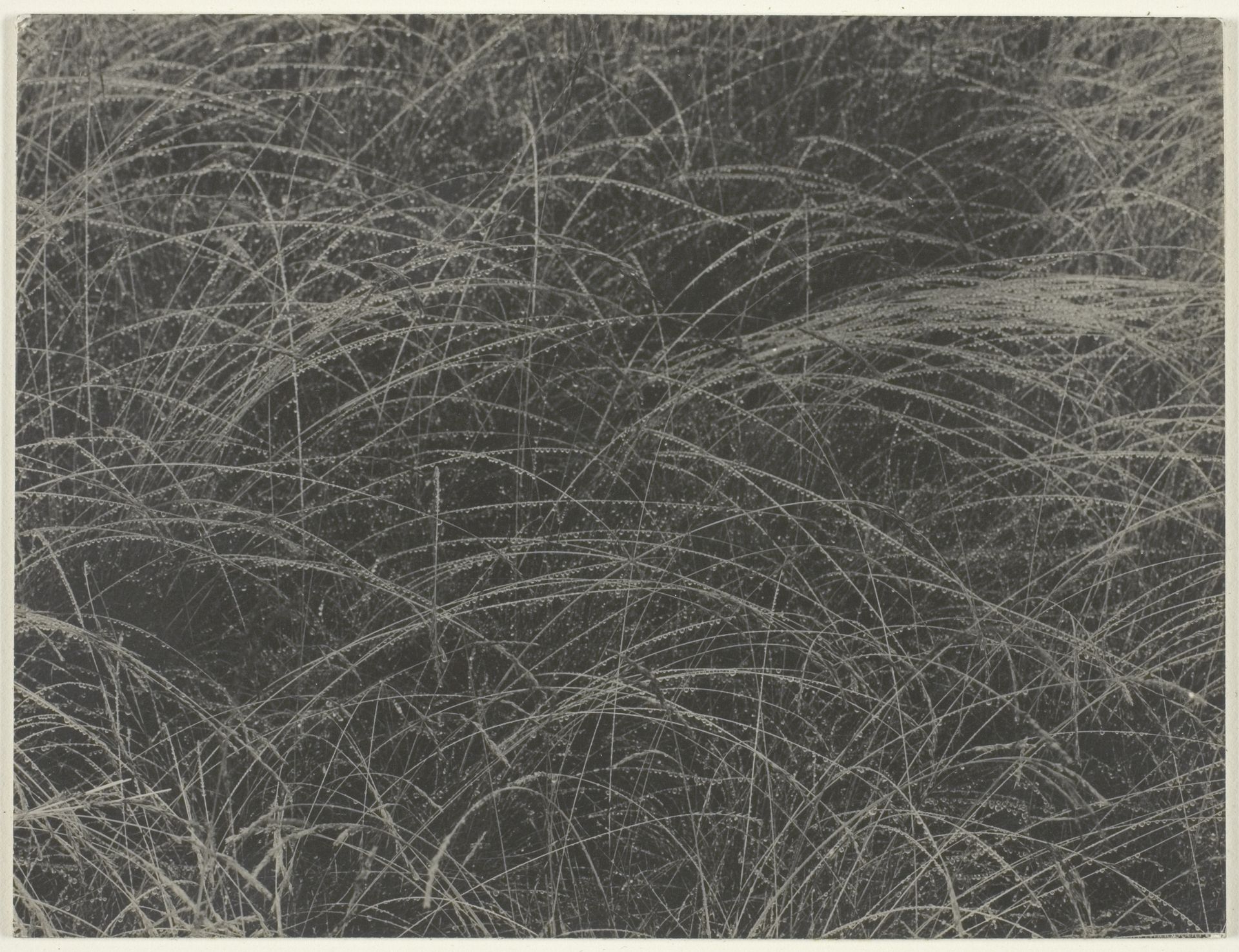 Equivalent by Alfred Stieglitz