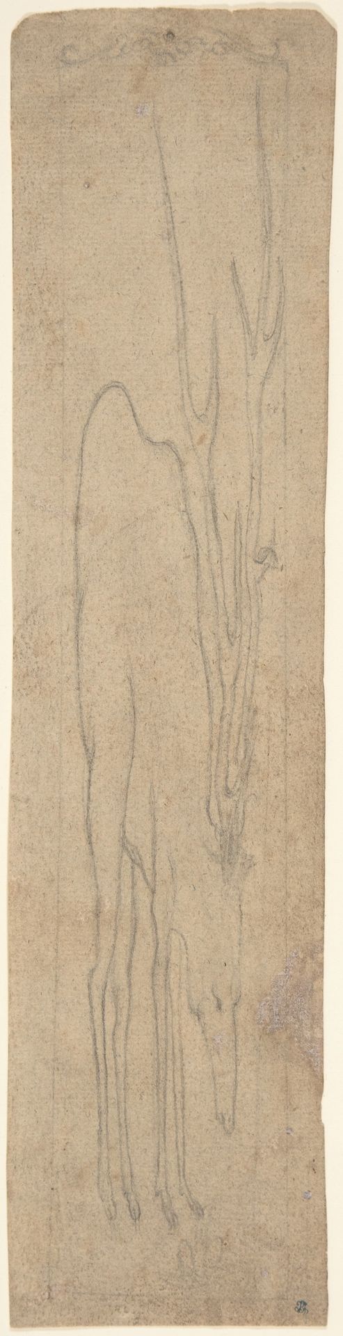 Anamorphic Drawing of a Stag by Anonymous