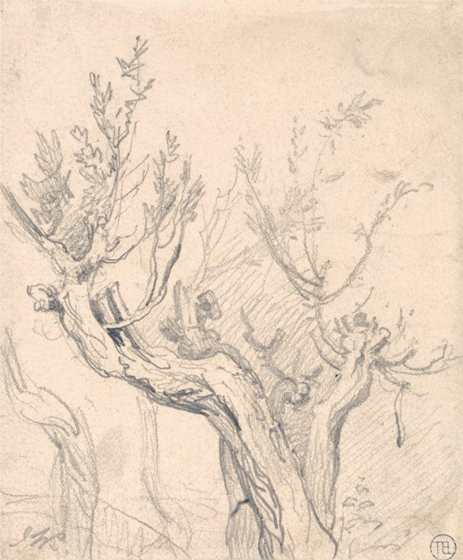 A Gnarled Tree by James Ward