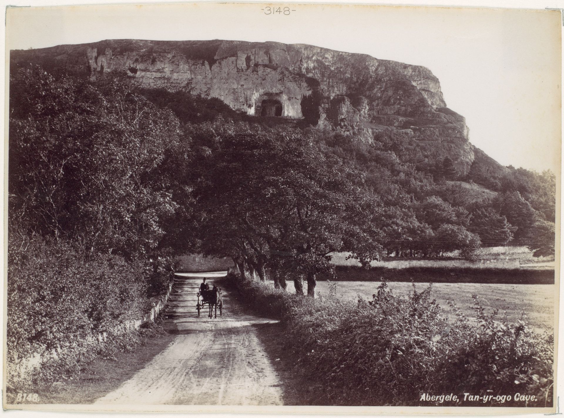 Abergele, Tan-yr-ogo Cave by Francis Bedford