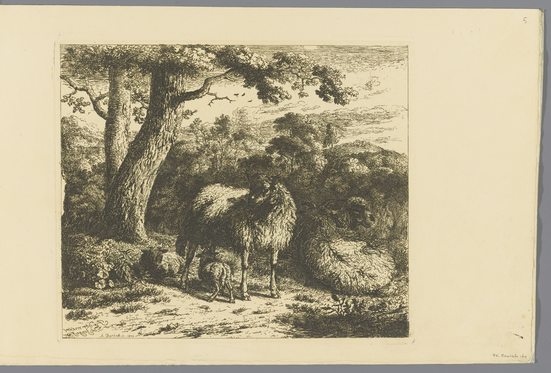 Staand schaap met twee lammeren by Adam von Bartsch