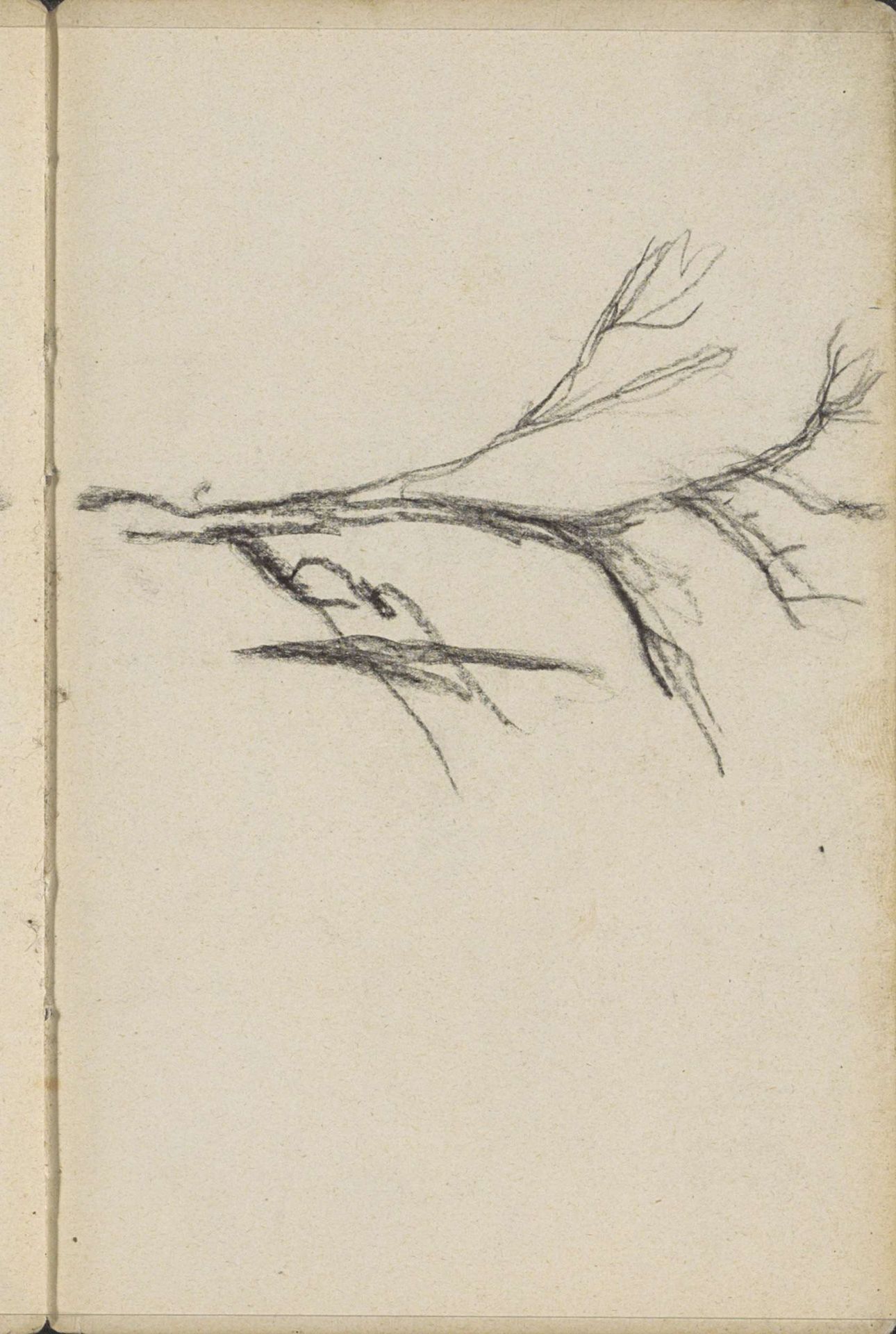 Boom by George Hendrik Breitner