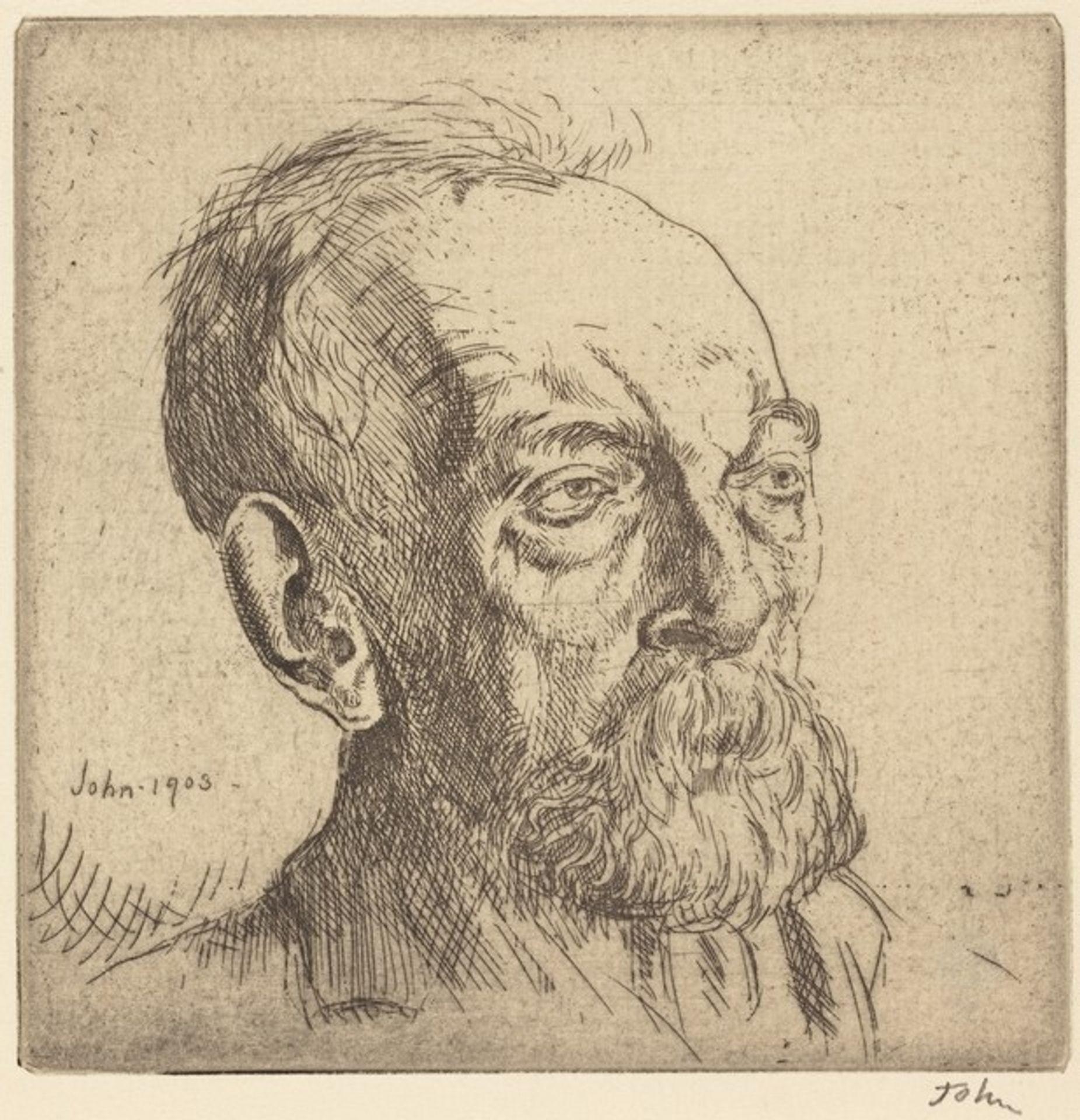 Head of Old Underwood by Augustus John